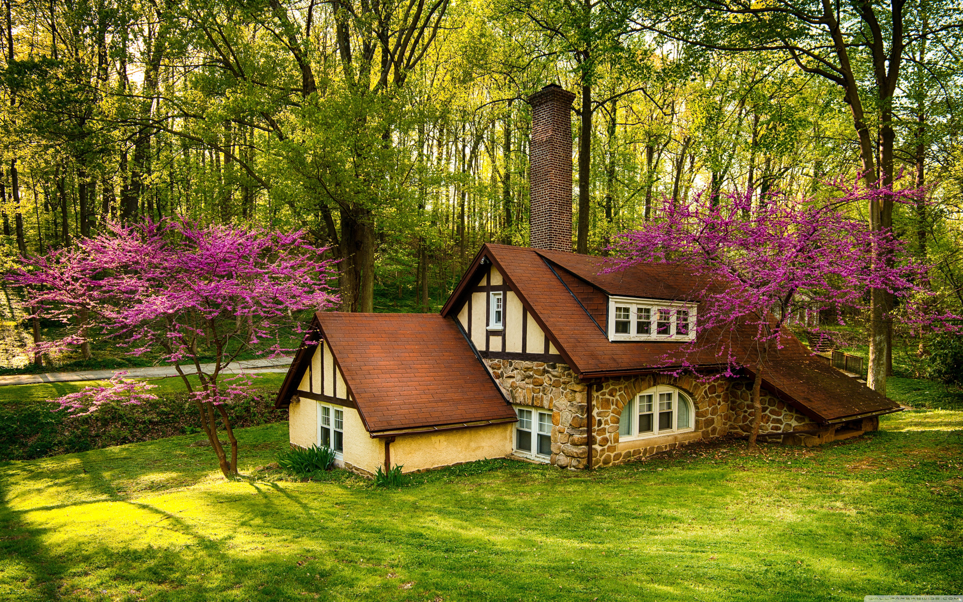 Beautiful Forest House, Spring Ultra HD Desktop Background Wallpaper for 4K UHD TV, Widescreen & UltraWide Desktop & Laptop, Tablet