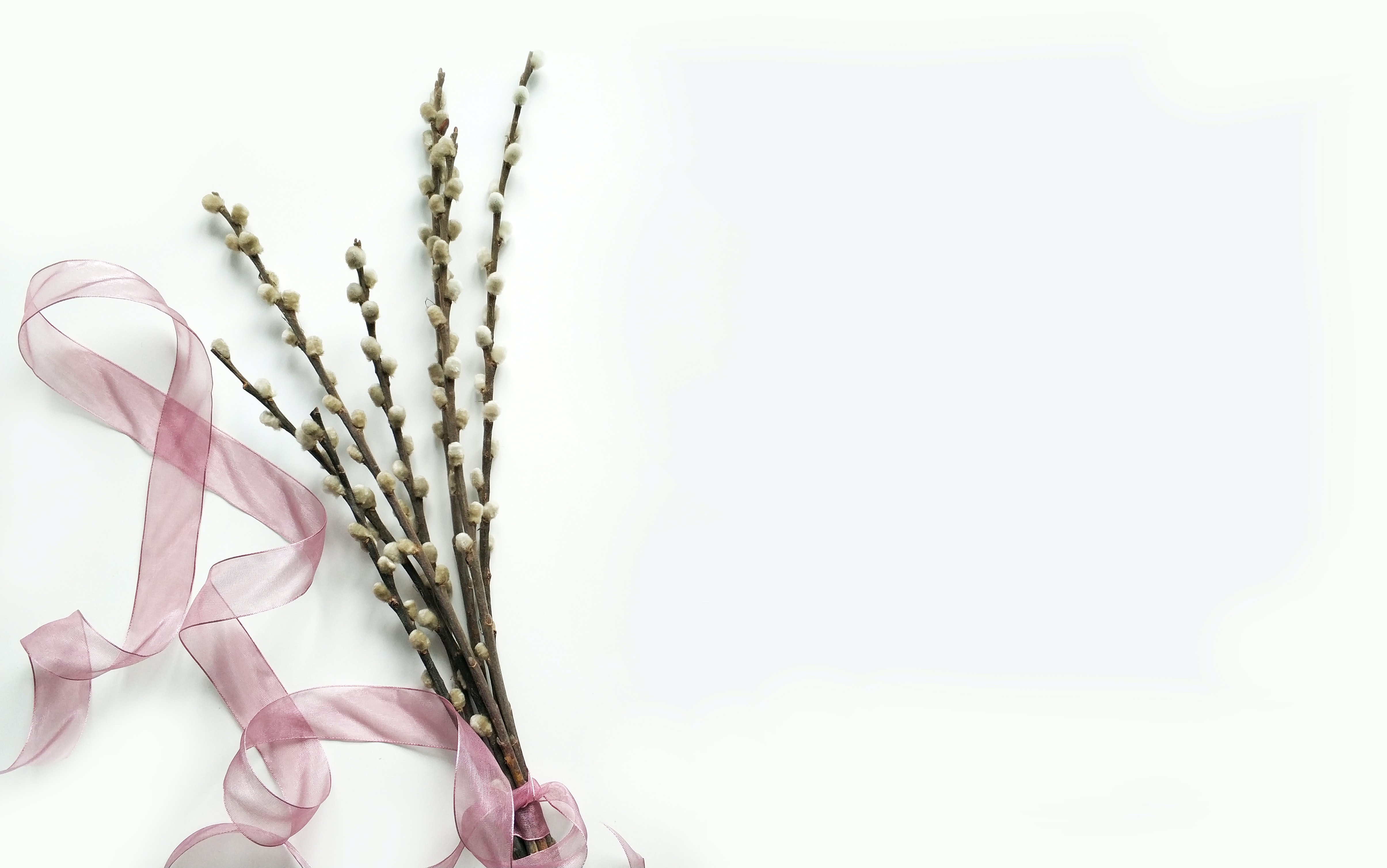 Spring Background Photo, Download The BEST Free Spring Background & HD Image