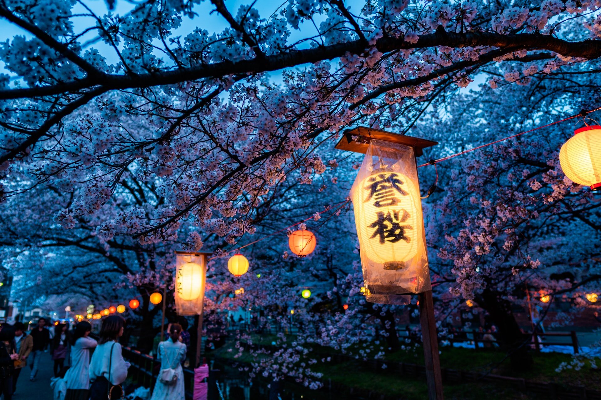 Things you can do in Japan in summer, autumn, winter and spring