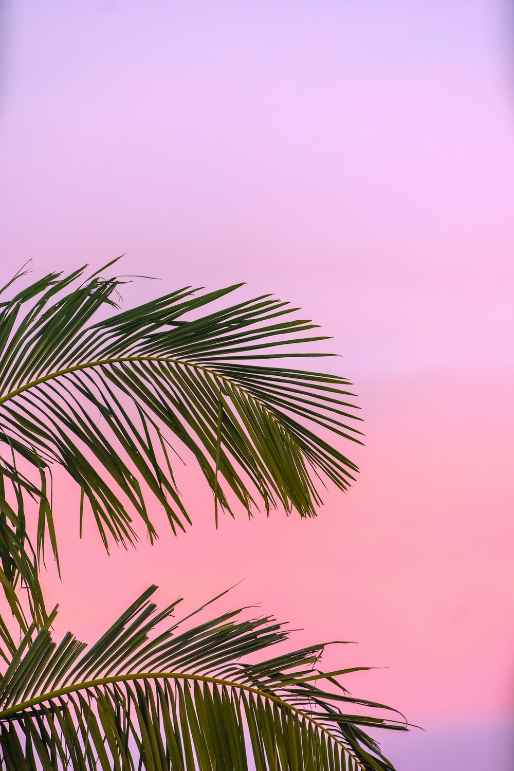 Aesthetic Summer 4k Wallpaper