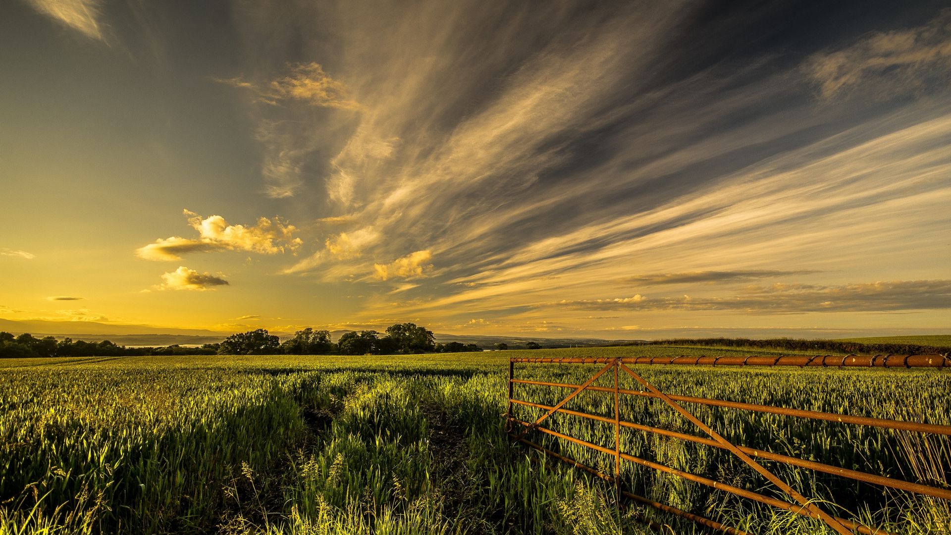 Download wallpaper 1920x1080 field, grass, fence, sky, summer full hd, hdtv, fhd, 1080p HD background