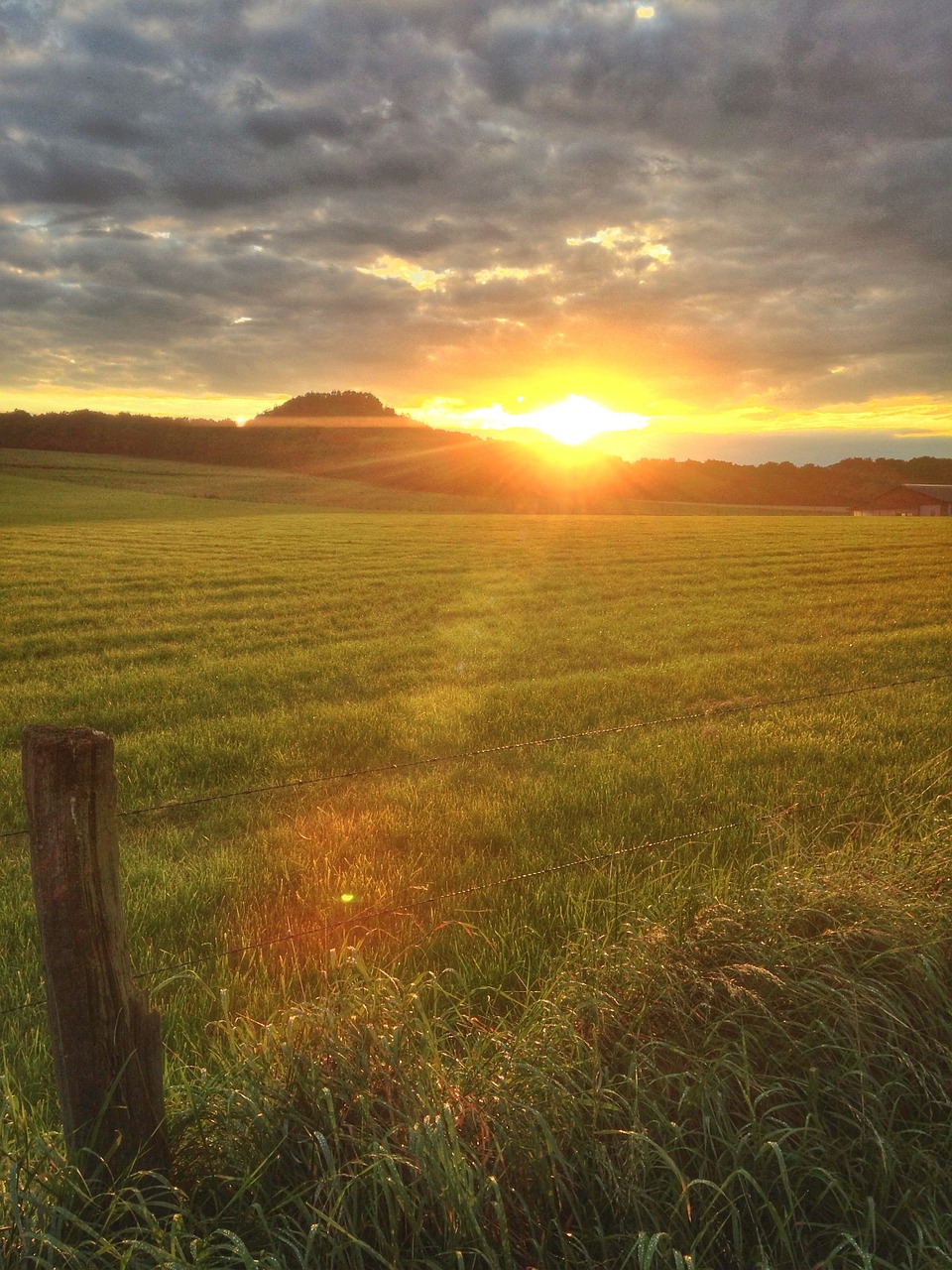 Download free photo of Sunset, fields, late summer, summer, clouds
