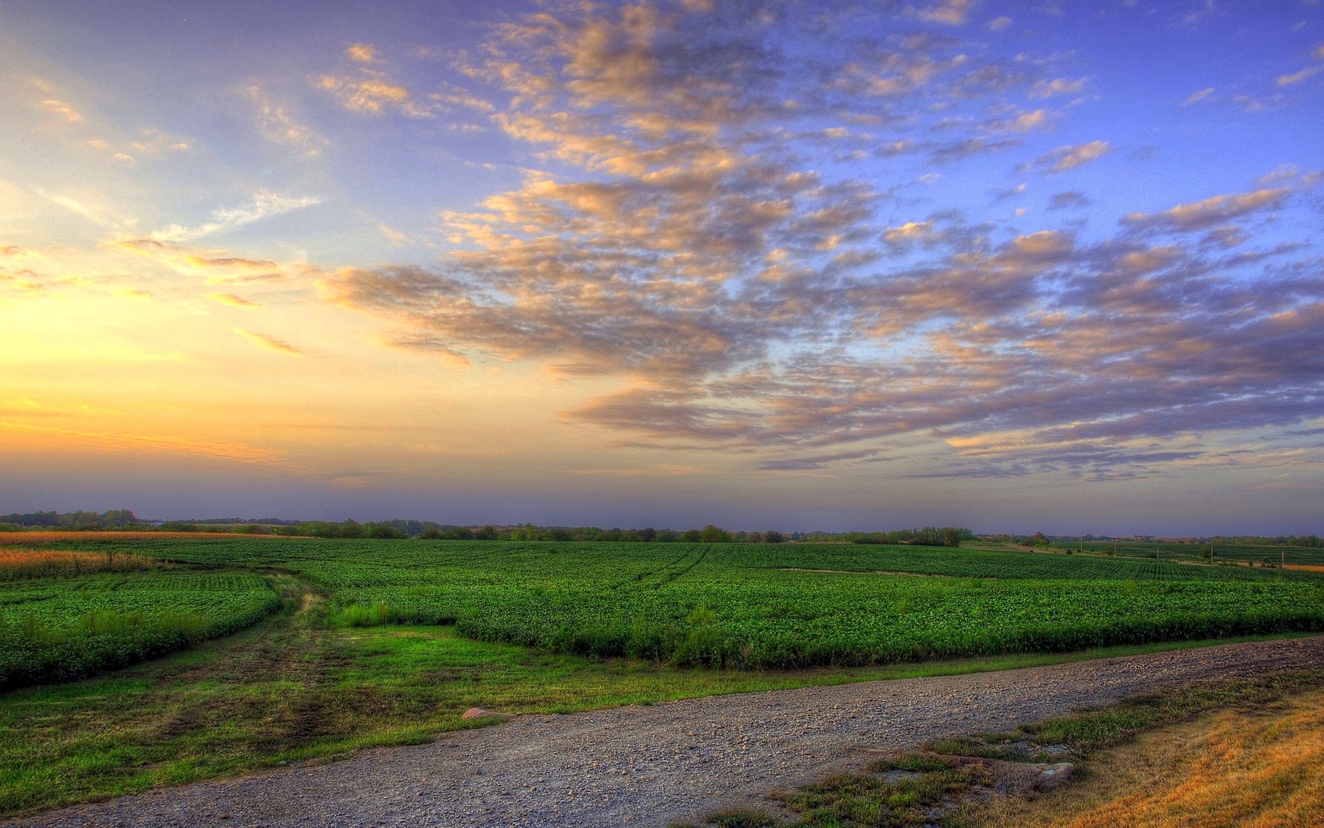 Download wallpaper 1920x1200 grass, field, sky, summer widescreen 16:10 HD background