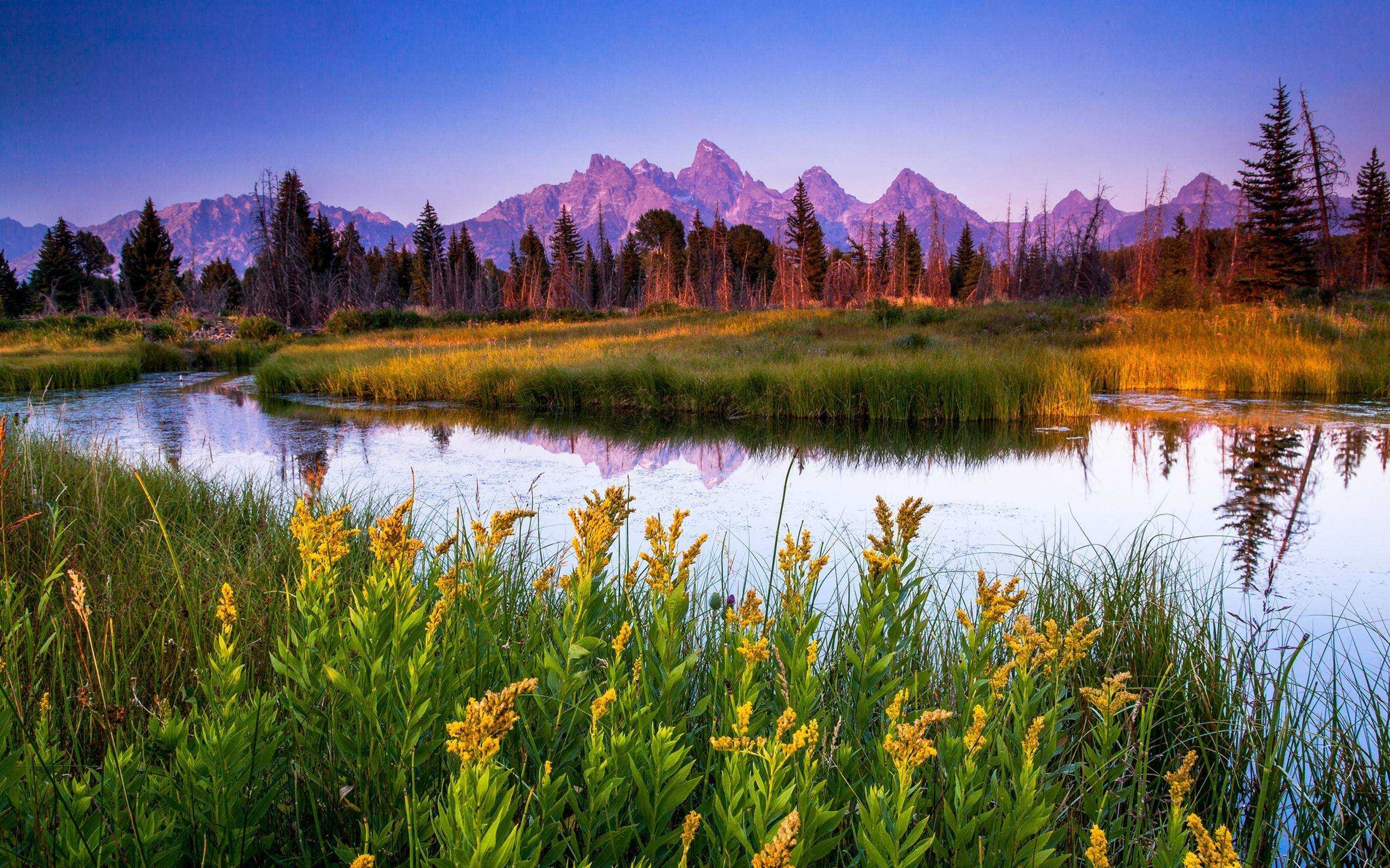 Free download Grand Teton National Park HD Wallpaper Best Collection [2560x1600] for your Desktop, Mobile & Tablet. Explore National Park Wallpaper Free. Arches National Park Wallpaper, Glacier National Park