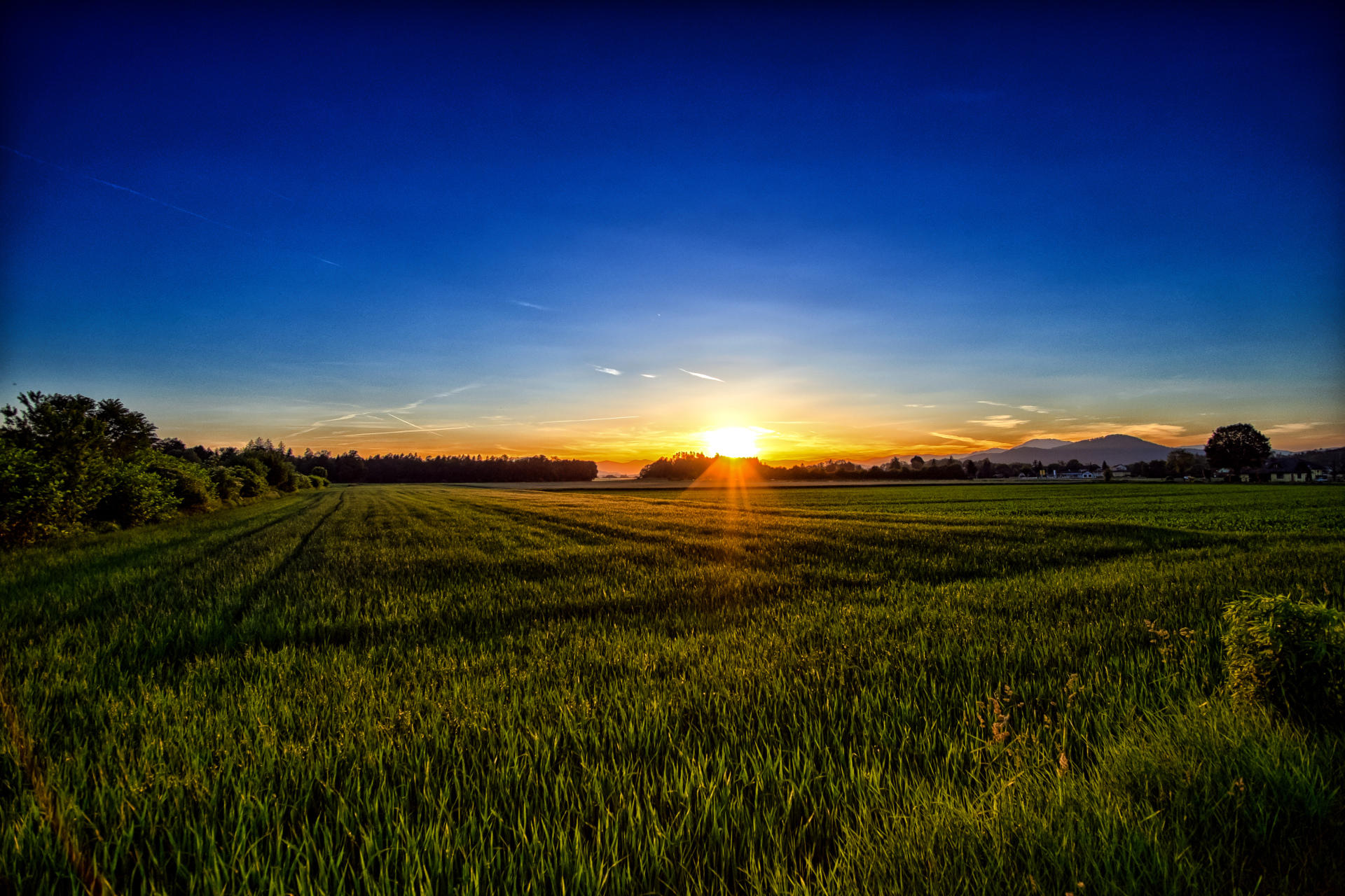 HD desktop wallpaper: Nature, Sunset, Grass, Summer, Sunrise, Earth, Field, Sunbeam download free picture