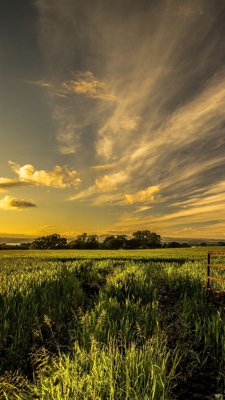 Download Wallpaper 720x1280 Field, Grass, Fence, Sky, Summer Samsung Galaxy S3 HD Background. Sky, Grass, Summer