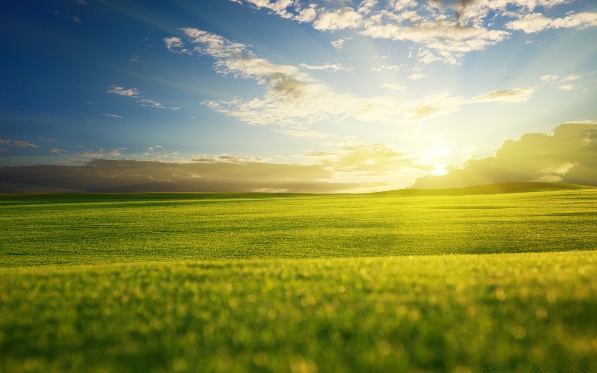 A warm summer evening and sunset over a green field wallpaper
