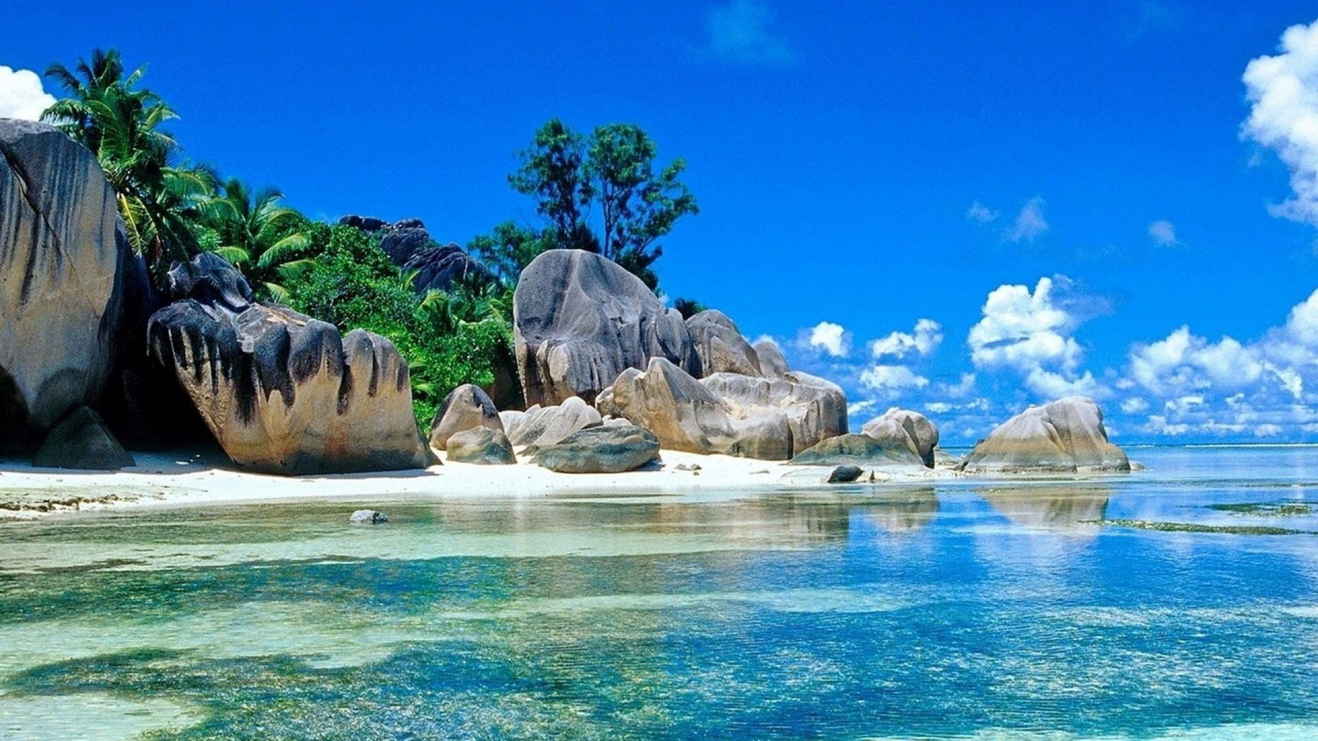 Summer Desktop Wallpaper