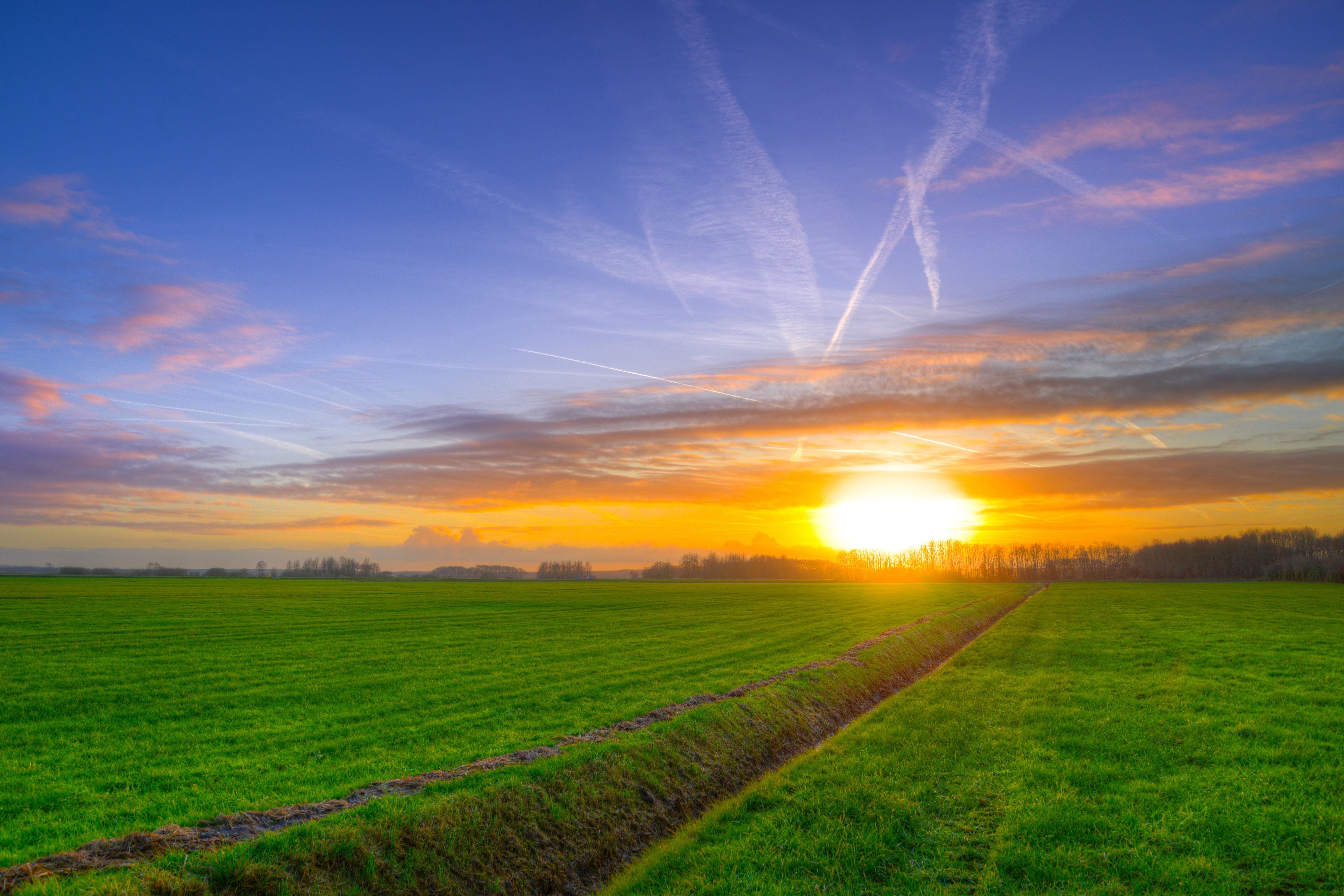 Photography of Green Grass Field during Golden Hour · Free