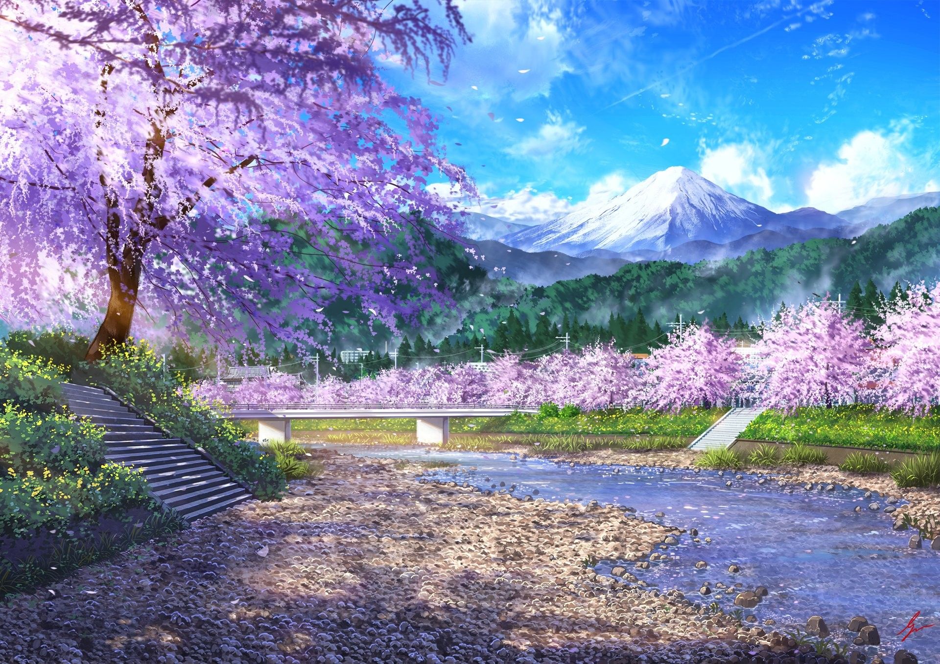 Anime Cherry Blossom Scenery Wallpaper