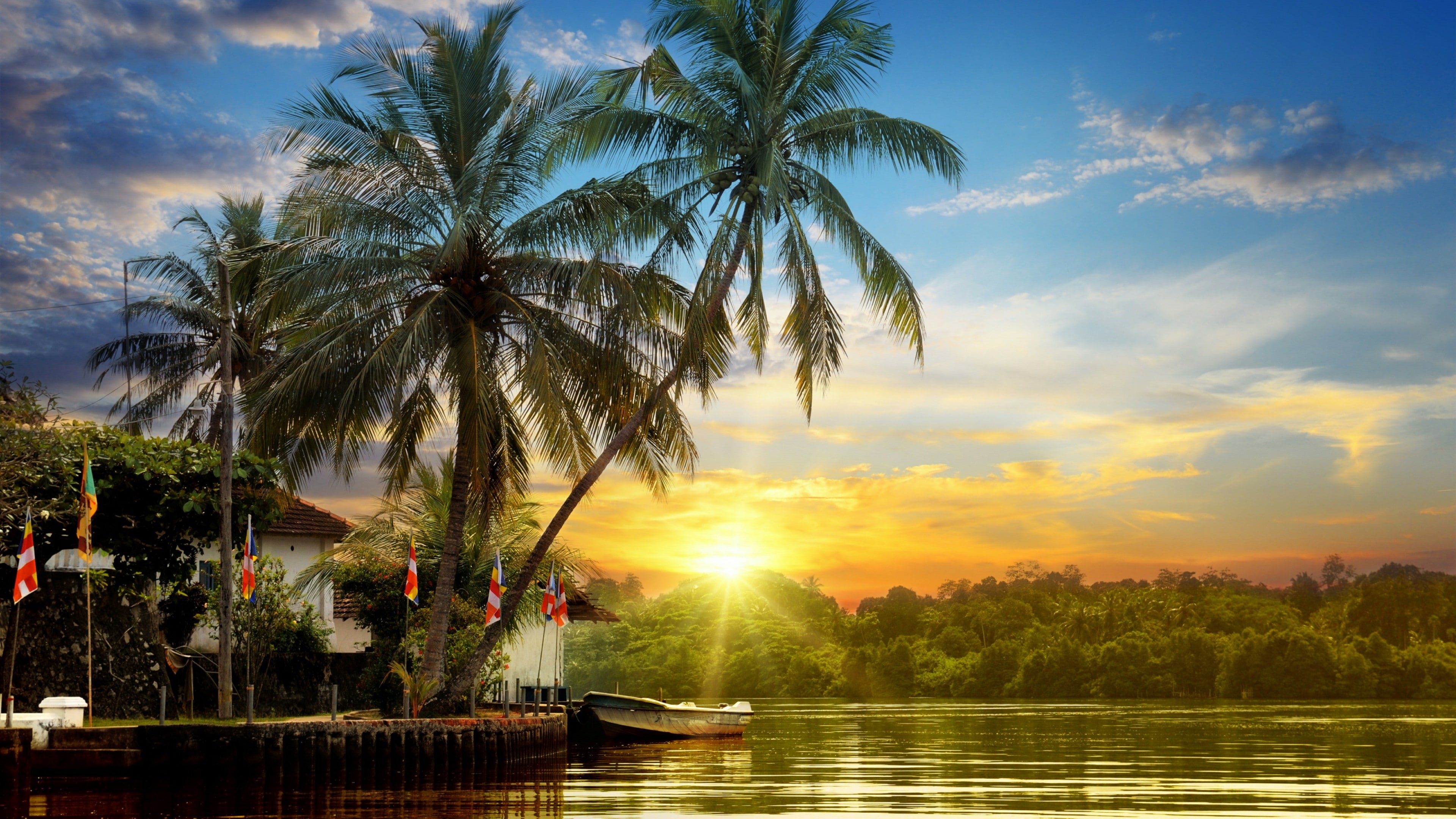 Wallpaper / summertime, evening, tropics, summer sunset, sky, sri lanka, sunset, woody plant, 4K, water, tree, nature, lake, palm tree, summer free download