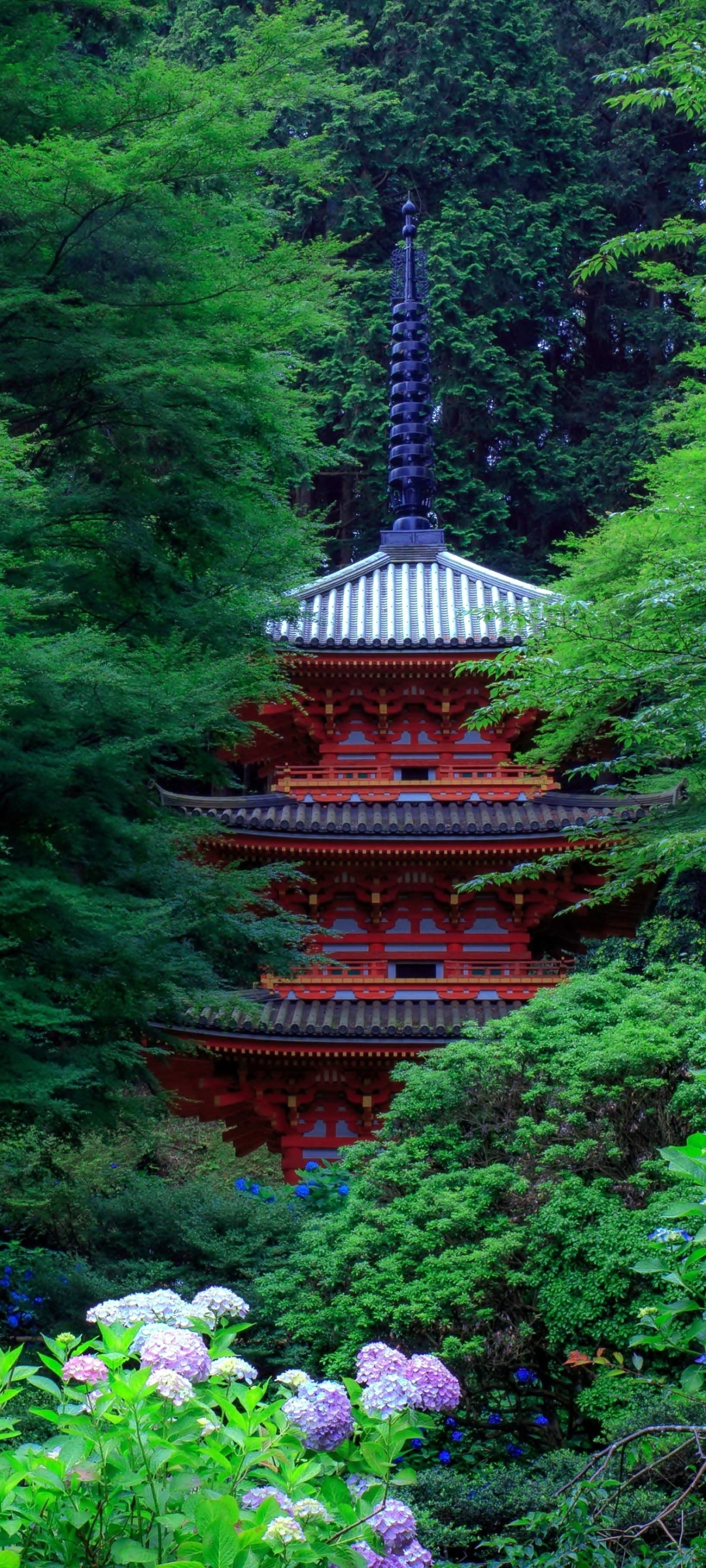 Spring Garden in Japan
