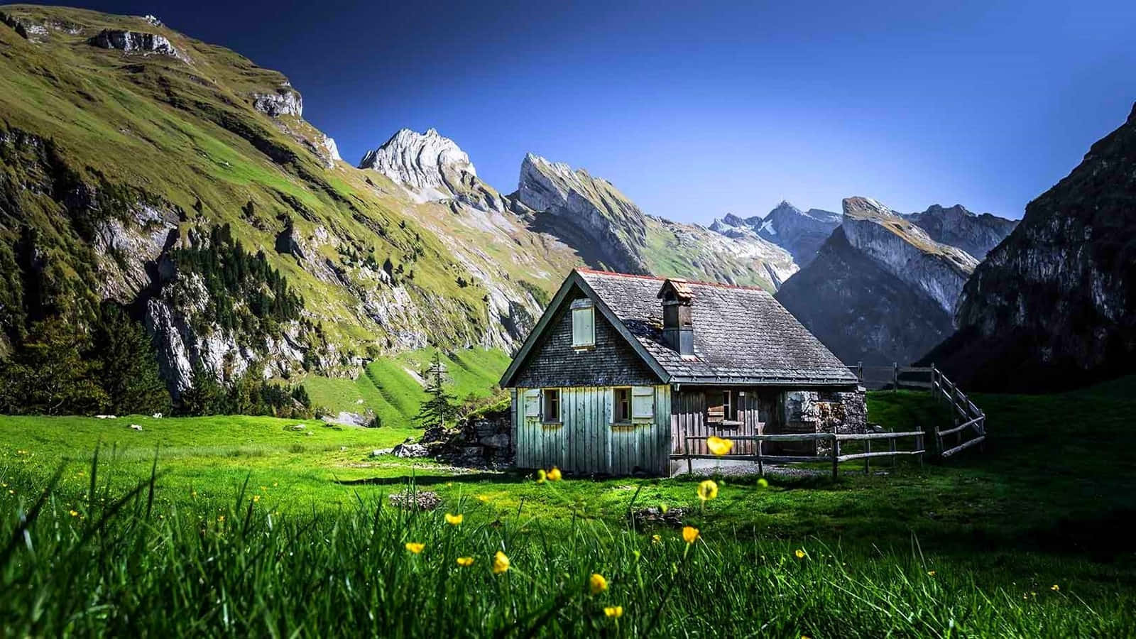 Download Isolated Cabin Field Wallpaper