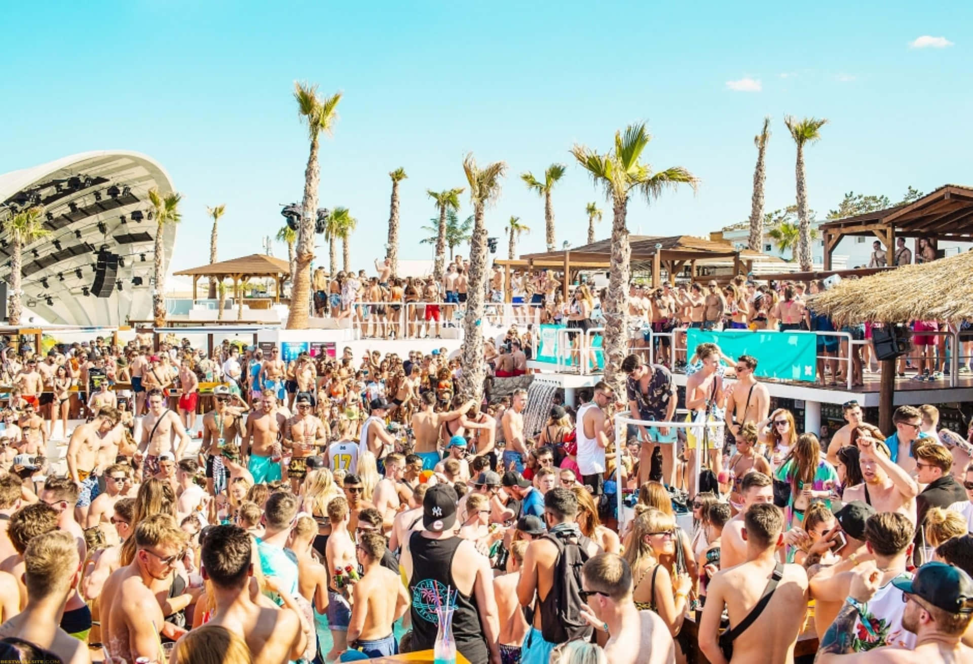 Beach Party Wallpaper for FREE