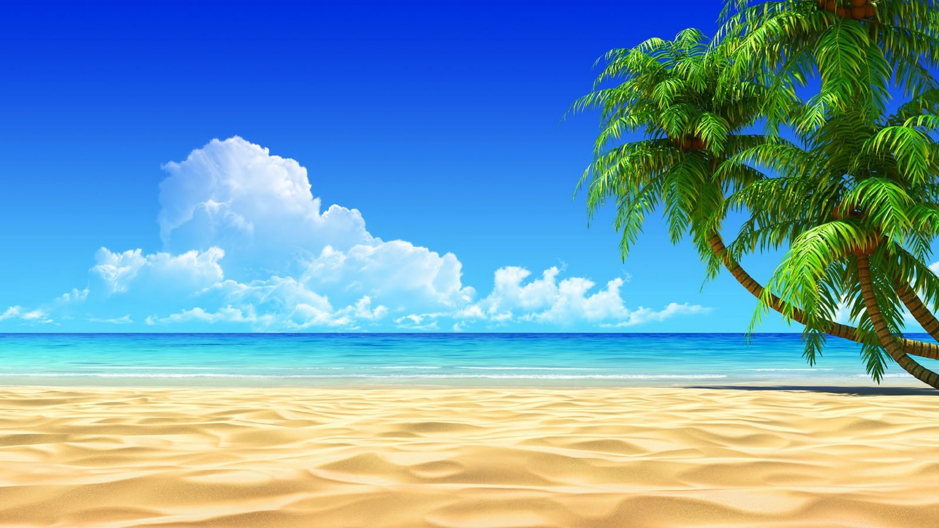 sea, summer, paradise, fantastic, beach, sunset, palm tree Gallery HD Wallpaper