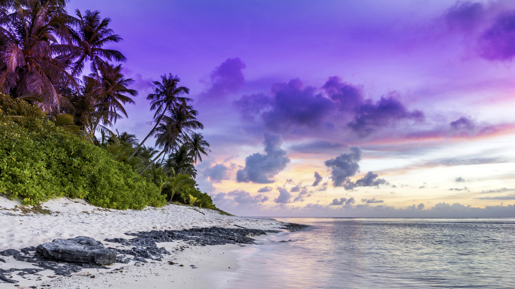 Vivid Summer Beach Wallpaper Up Your Home Decor