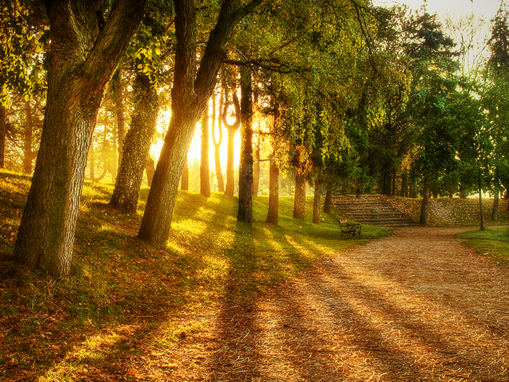 Summer Morning Wallpaper