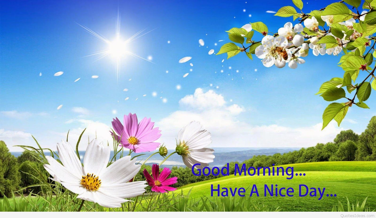 Free download Beautiful wallpaper Good Morning quote Beautiful summer [1600x927] for your Desktop, Mobile & Tablet. Explore Wallpaper Good. Good Night Wallpaper, Good Computer Wallpaper, Good Minecraft Background