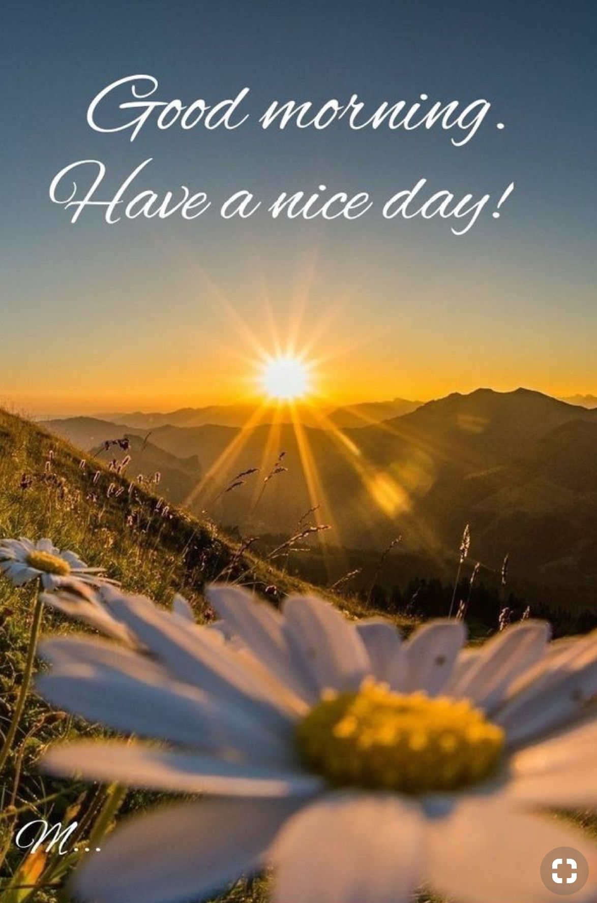 Good Morning!. Nature photography flowers, Summer nature photography, Good day sunshine