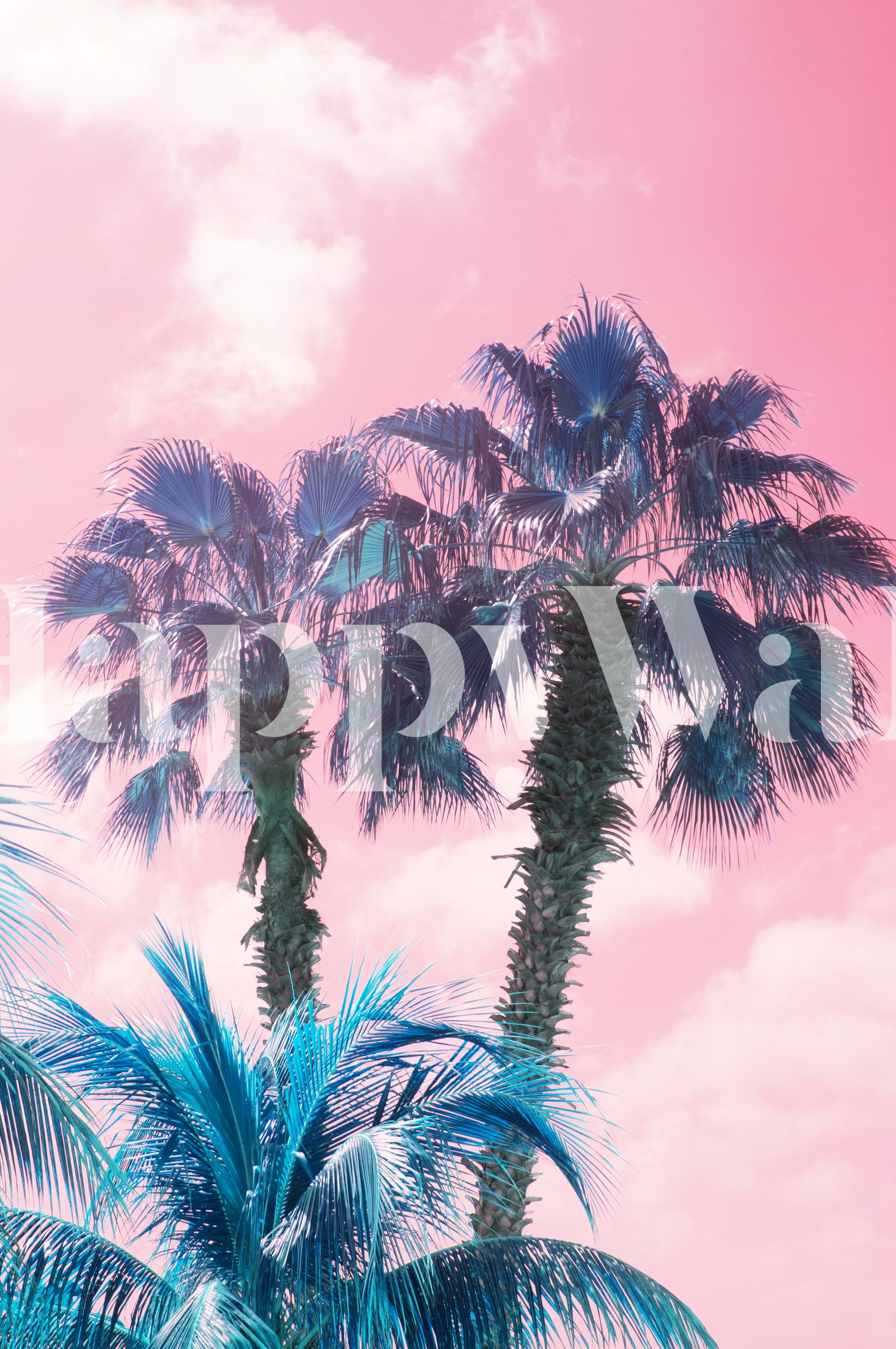 Caribbean Palm Trees Summer 1 Wallpaper