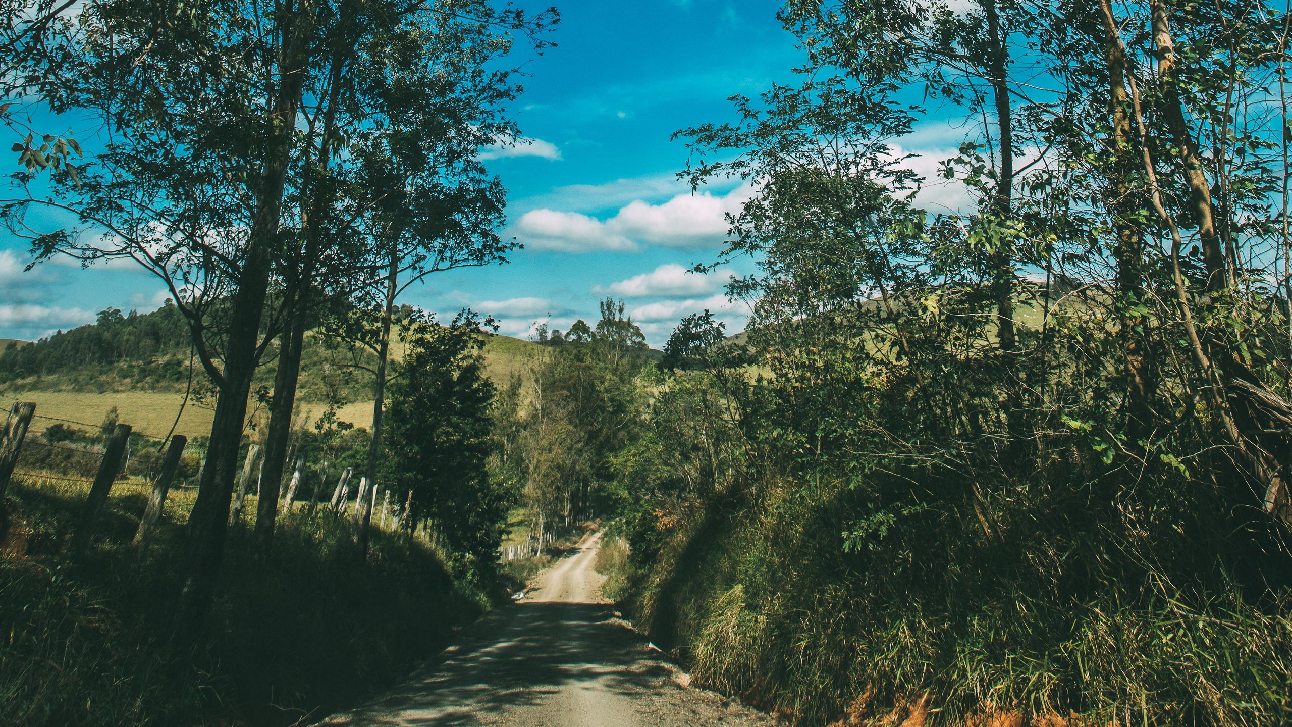Download wallpaper 2560x1440 summer, road, trees, sky, sunny widescreen 16:9 HD background