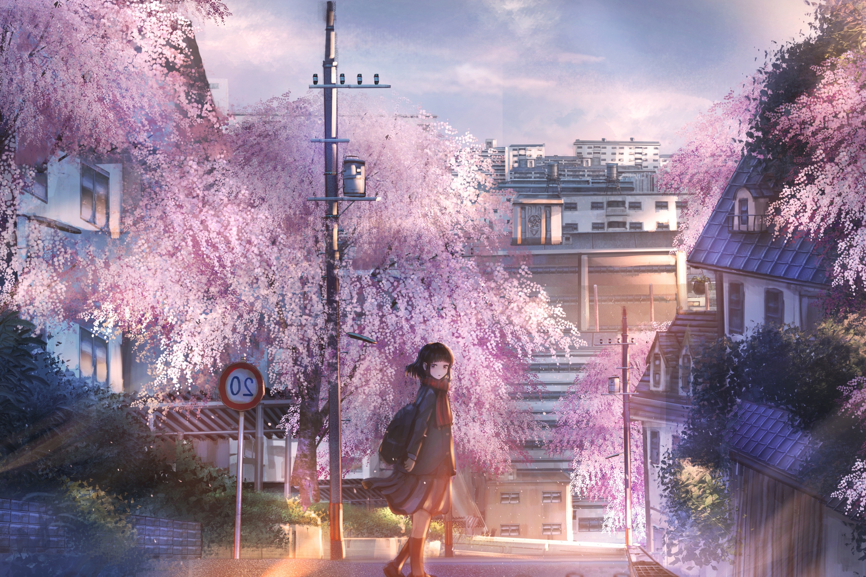 Free download Wallpaper Anime School Girl Anime Landscape Sakura Blossom [3000x2000] for your Desktop, Mobile & Tablet. Explore Anime School Building Wallpaper. School Background, School Background Picture, Prison School Anime Wallpaper