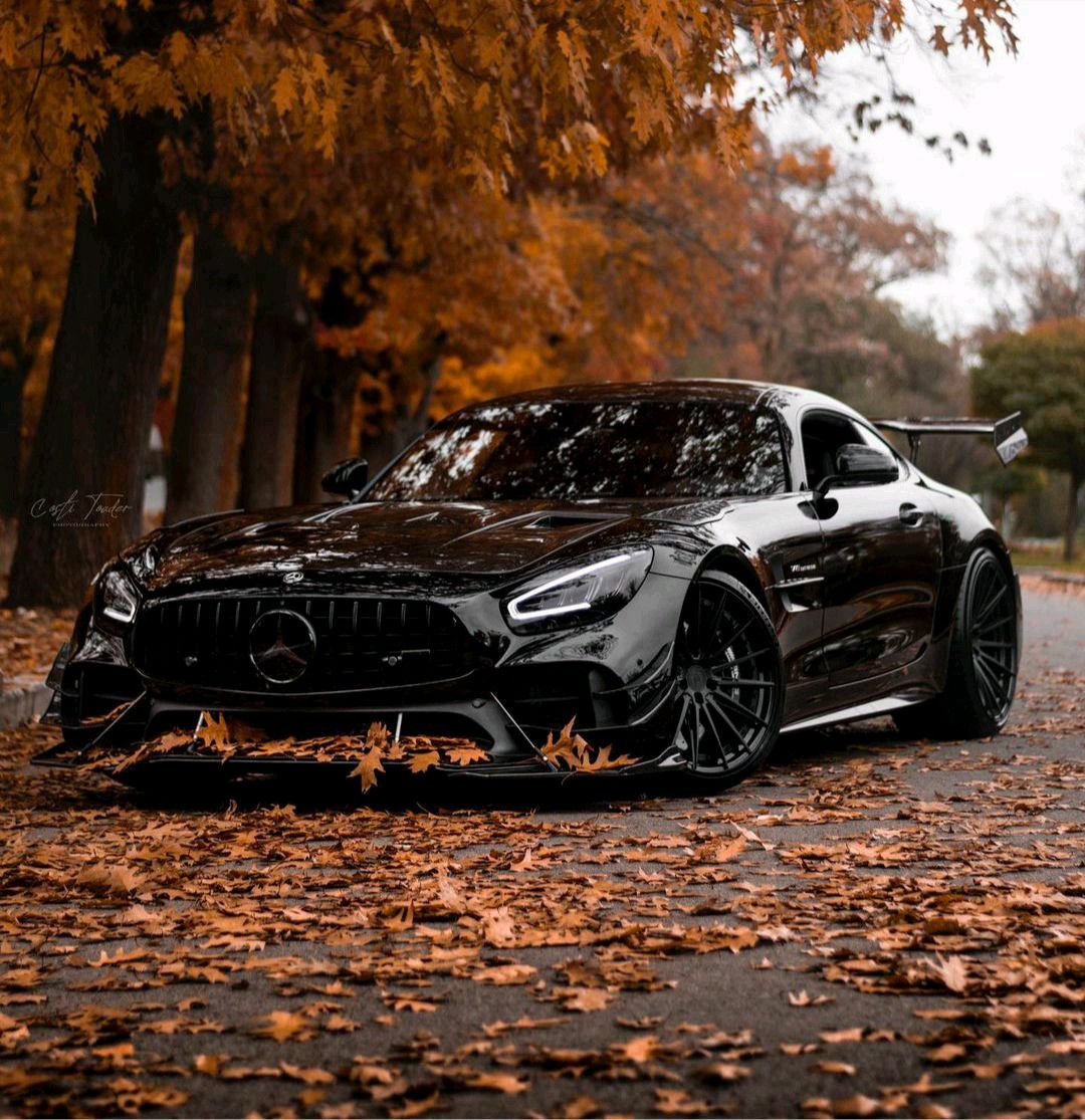 AMG GT R PRO 900 HP. Dream cars, Mercedes, Mercedes benz amg