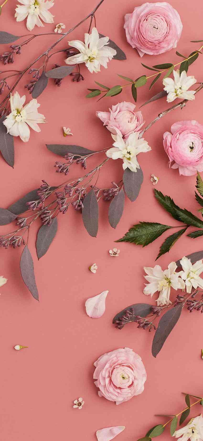 Pink Blooms Galore: The Ultimate Collection of 55 Aesthetic Flower Wallpaper