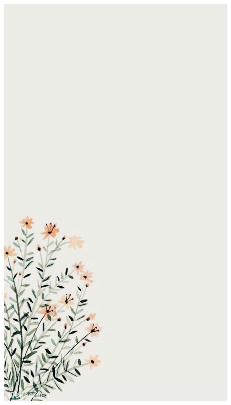 Aesthetic Flowers Simple Wallpaper