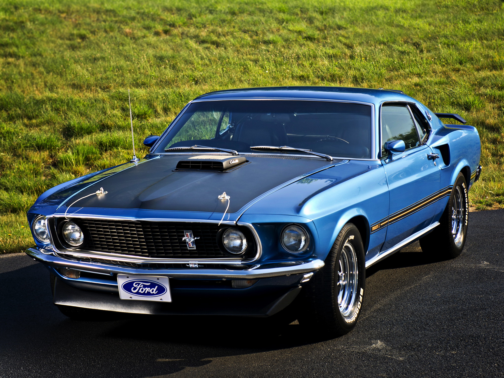 Free download Mustang Mach 1 428 Super Cobra Jet mach 1 muscle classic gw wallpaper [2048x1536] for your Desktop, Mobile & Tablet. Explore Mustang Cobra Jet Wallpaper