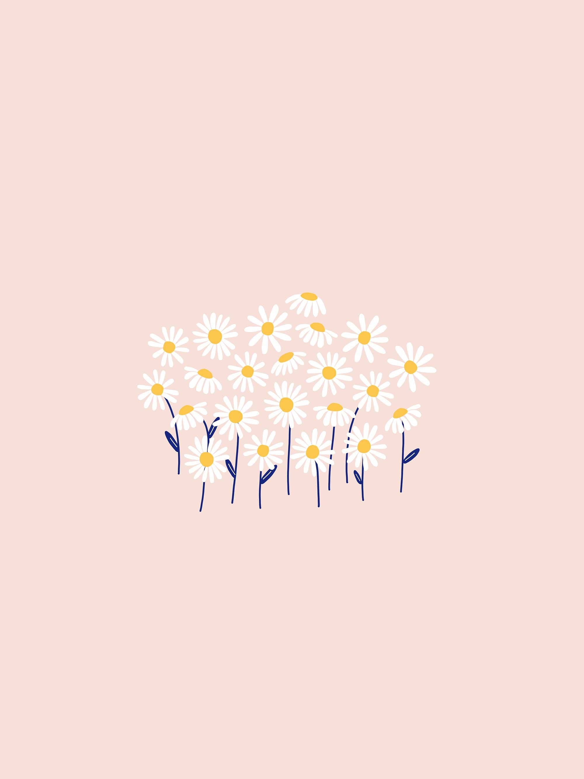 Daisy desktop, tablet and phone wallpaper