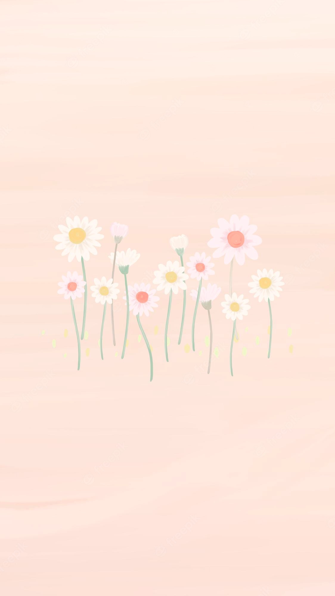 Pastel Cute Daisy Wallpaper Image