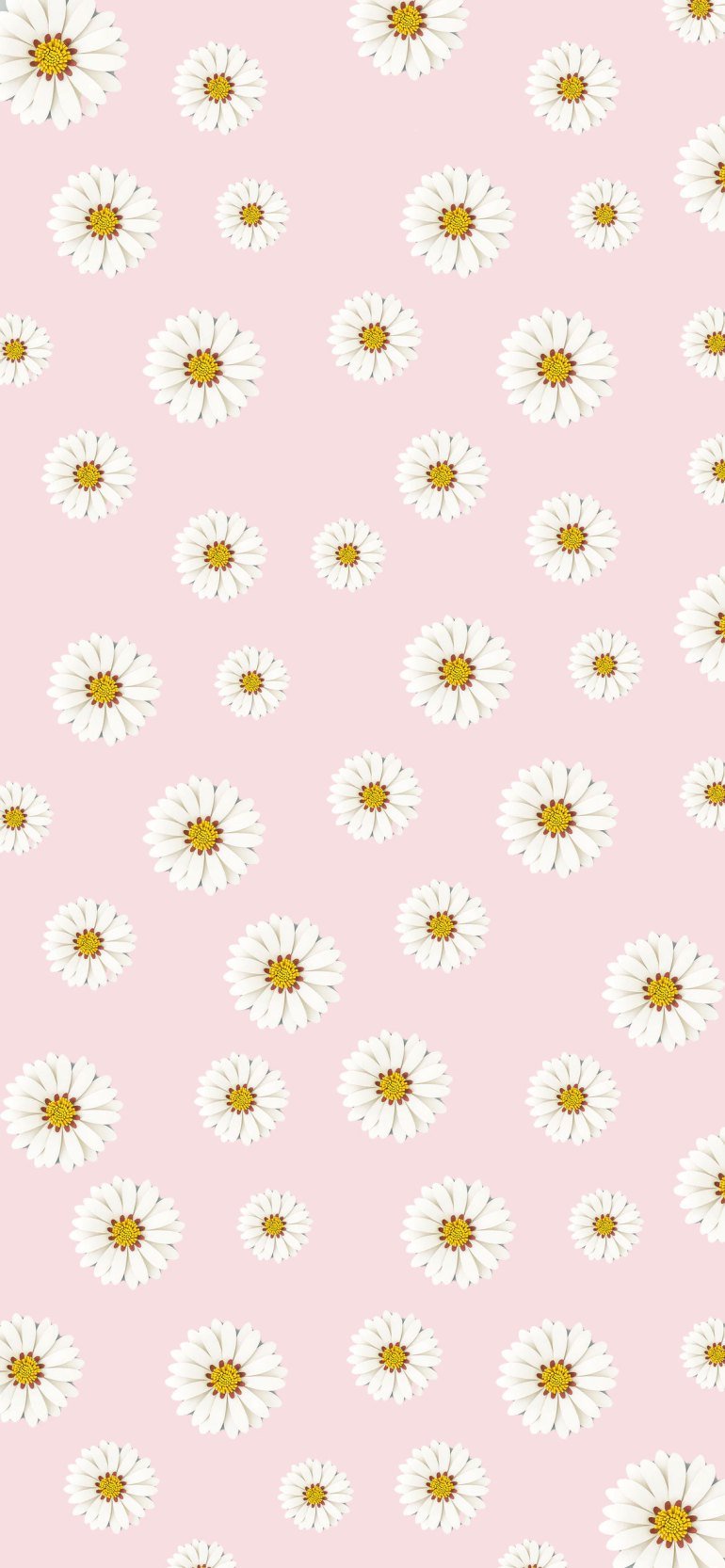 Aesthetic Daisy HD Wallpapers - Wallpaper Cave