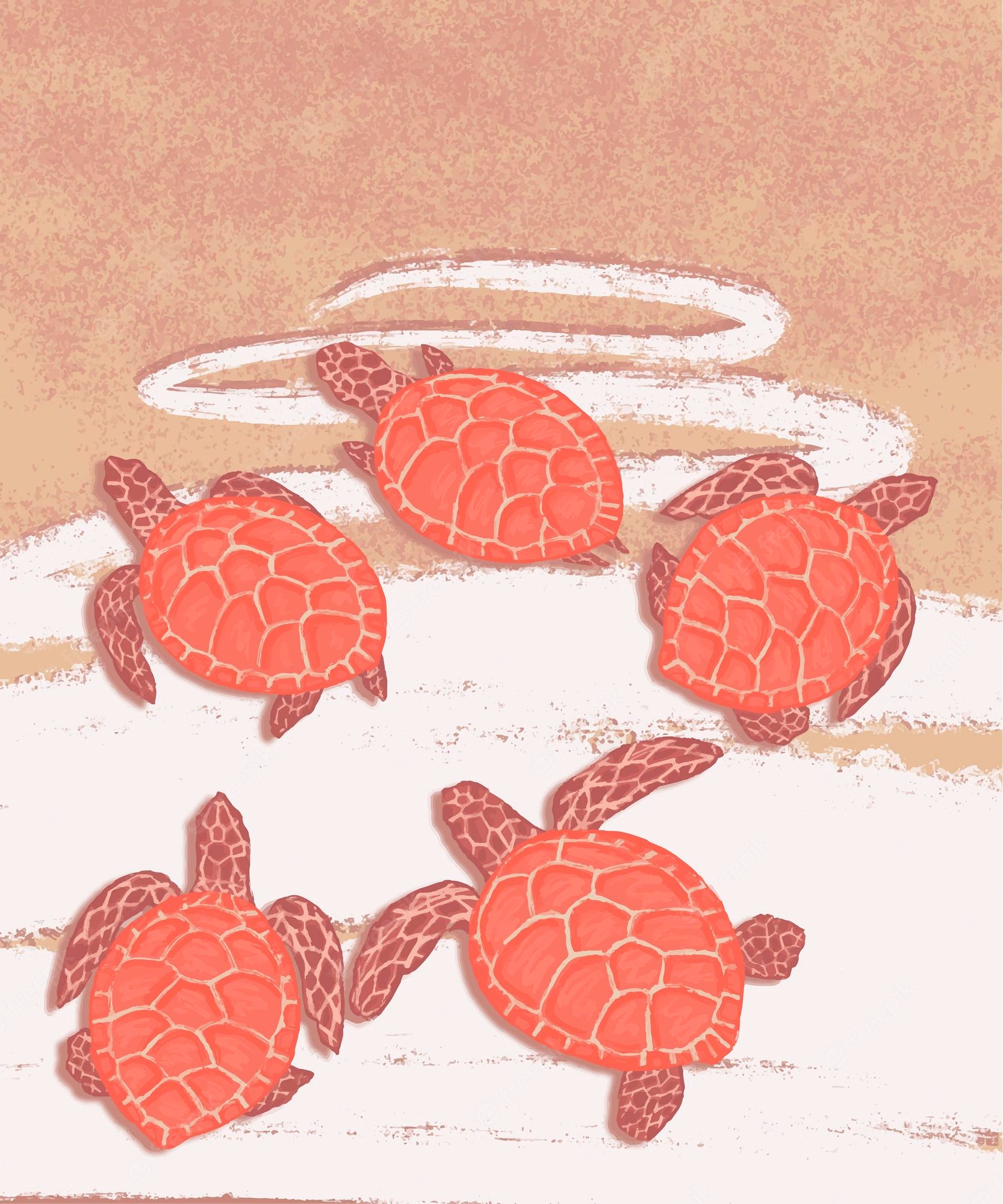 Premium Vector. Summer vibes sea sand with turtles