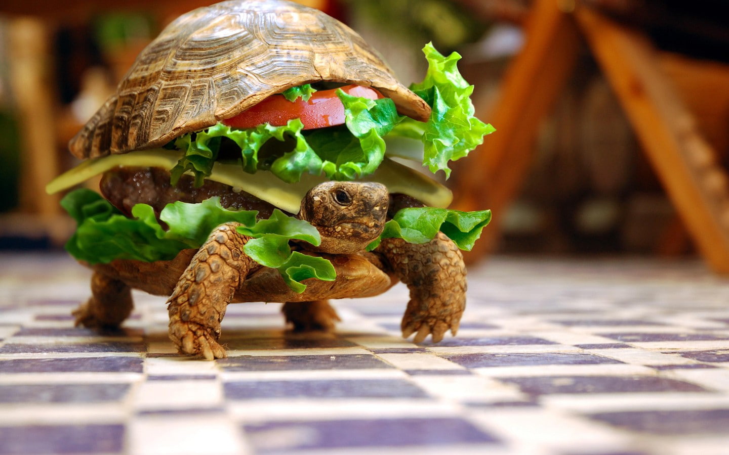 Wallpaper / burger, animals, reptile, photo manipulation, dinosaur, table, summer, no people, animal representation, burgers, checkered, sandwiches, indoors, amphibian free download