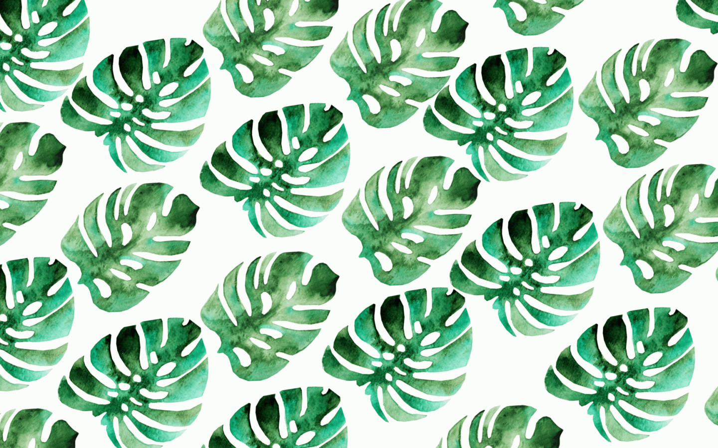 Summer Aesthetic Wallpaper