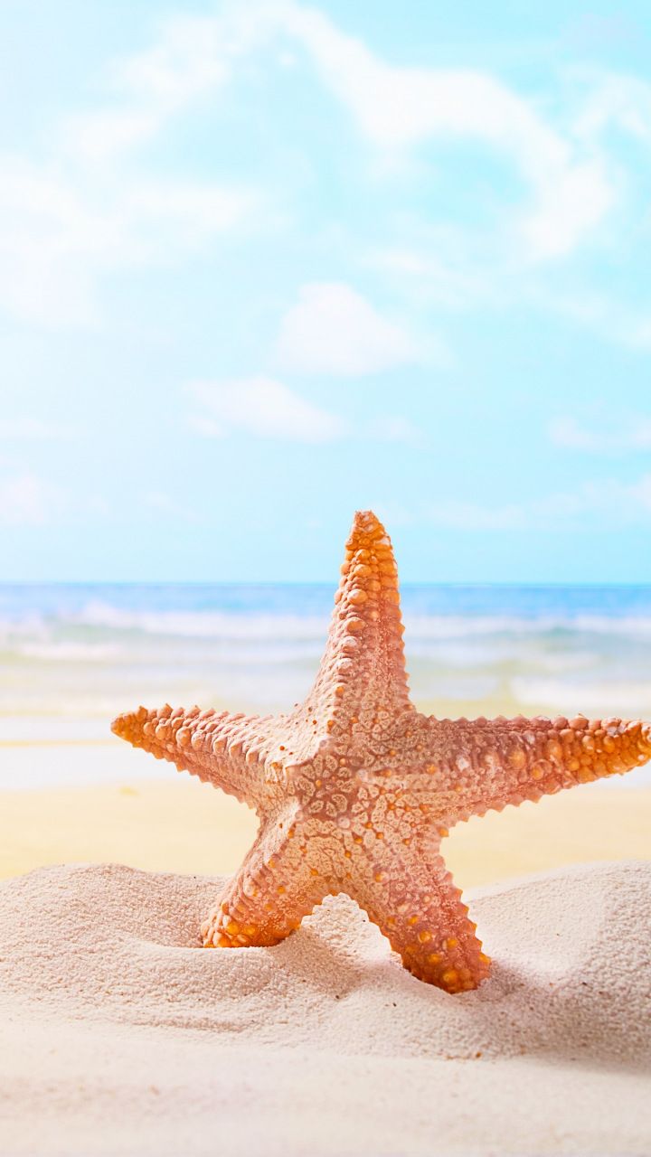 Sand, starfish, beach, 720x1280 wallpaper