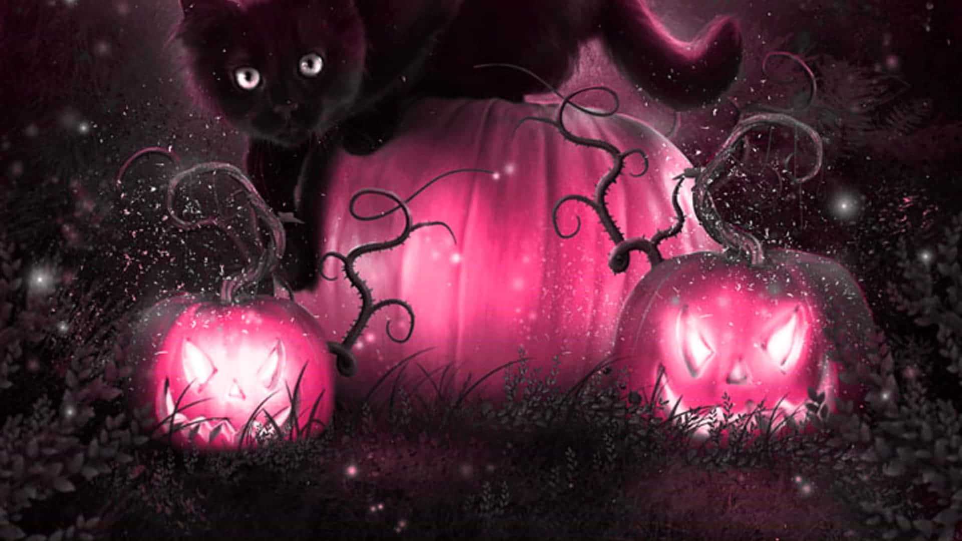 Cute Halloween HD Wallpaper, Free Cute Halloween Wallpaper Image For All Devices