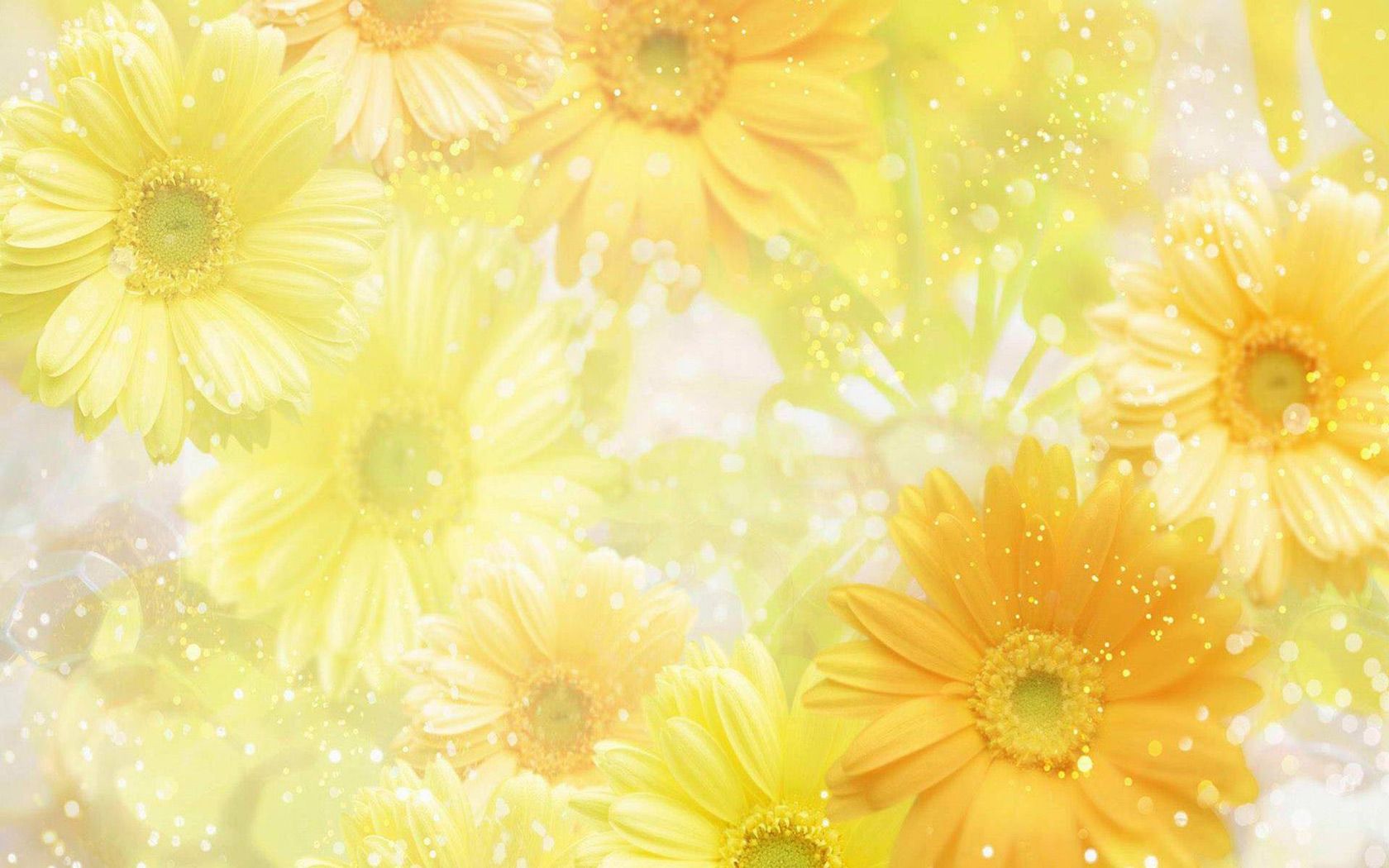 Spring Flowers Computer Desktop Wallpaper