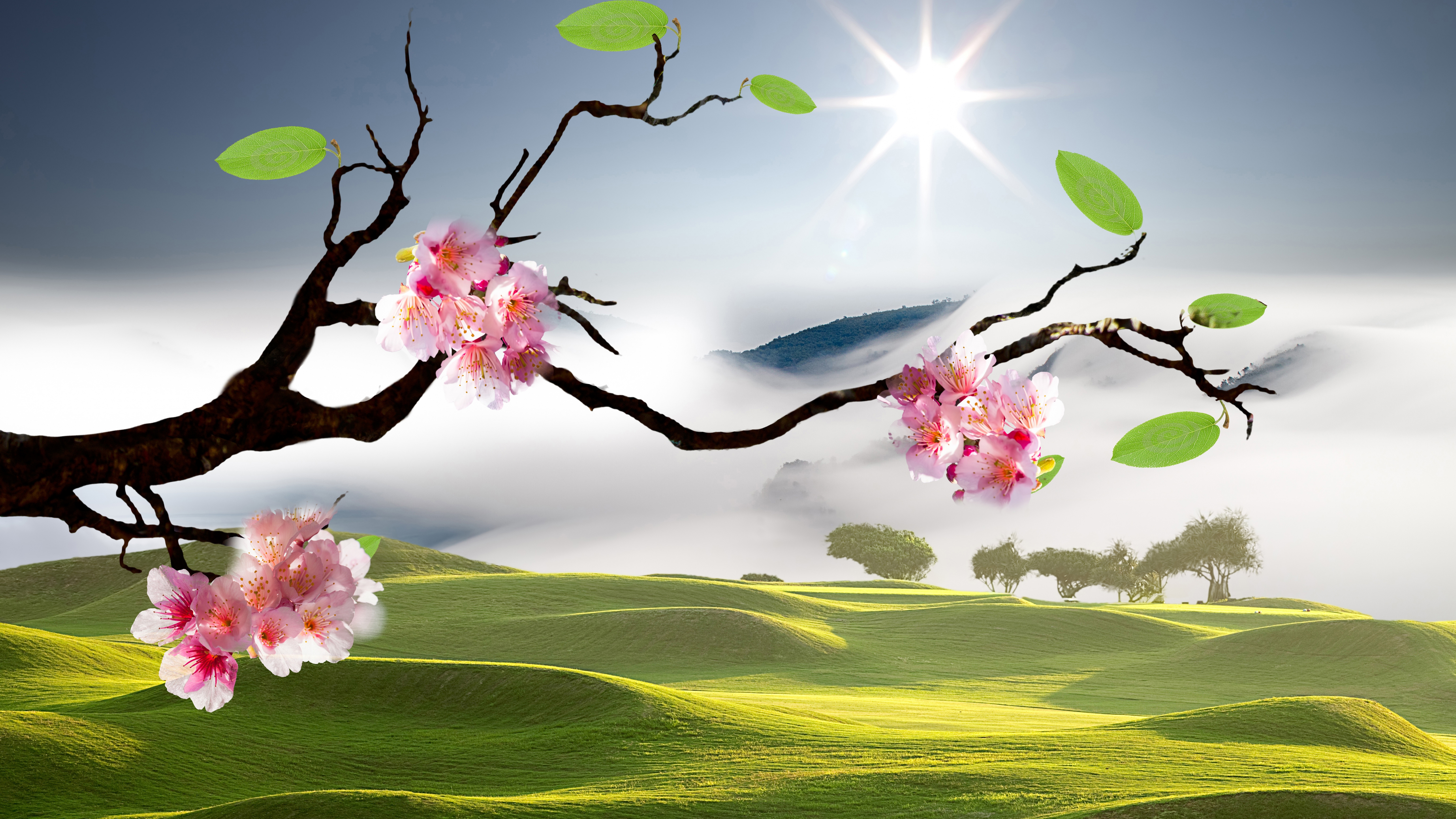 Spring 8K Ultra HD Wallpaper, HD Spring 7680x4320 Background, Free Image Download