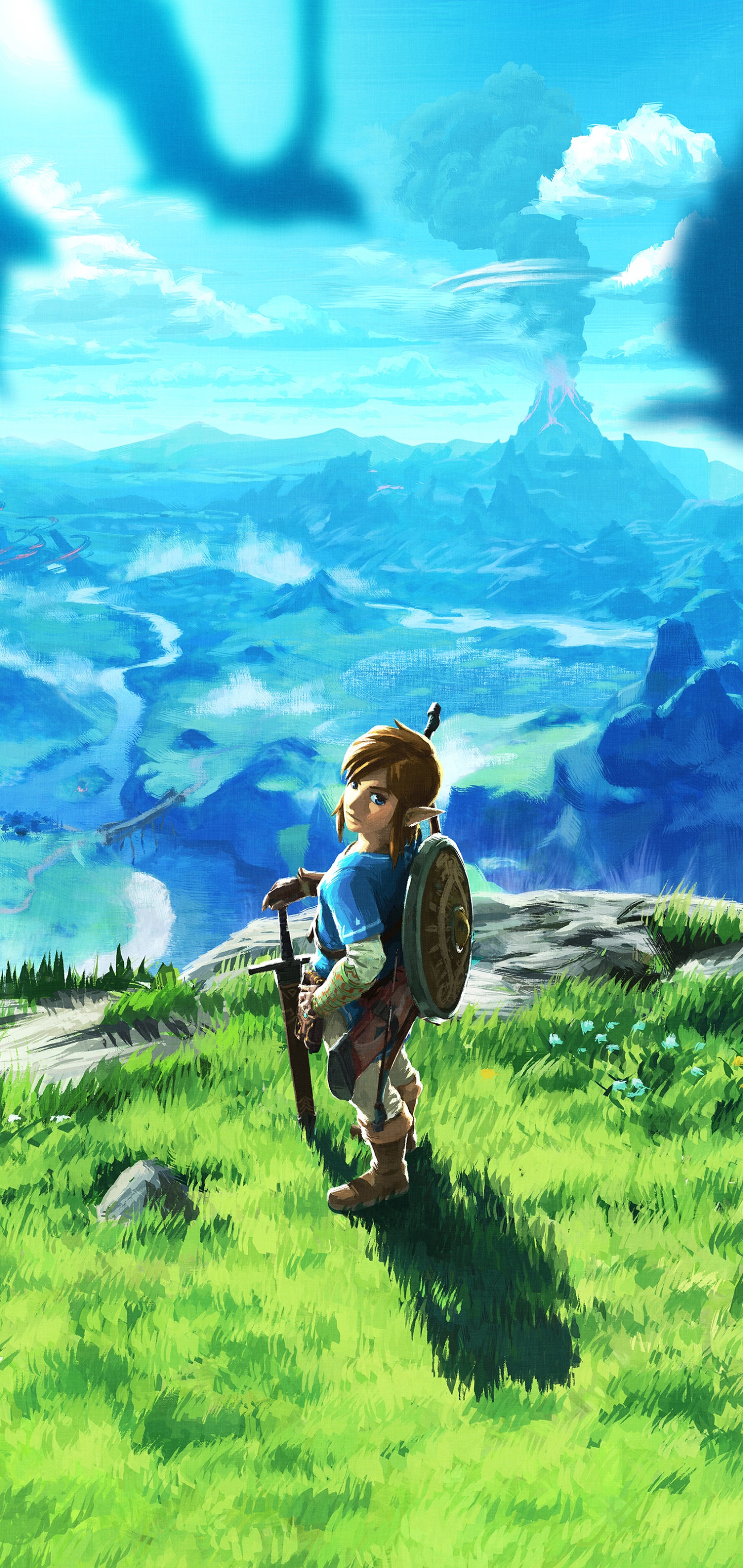 Wallpaper / Video Game The Legend of Zelda: Breath of the Wild Phone Wallpaper, Link, 1440x3040 free download