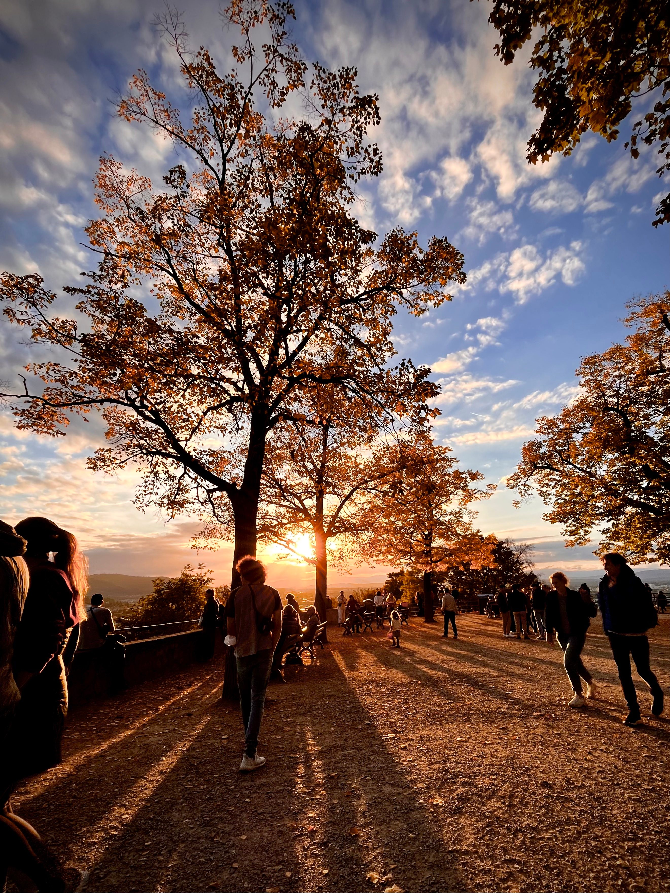 Apple iPhone 14 Plus Review Photo