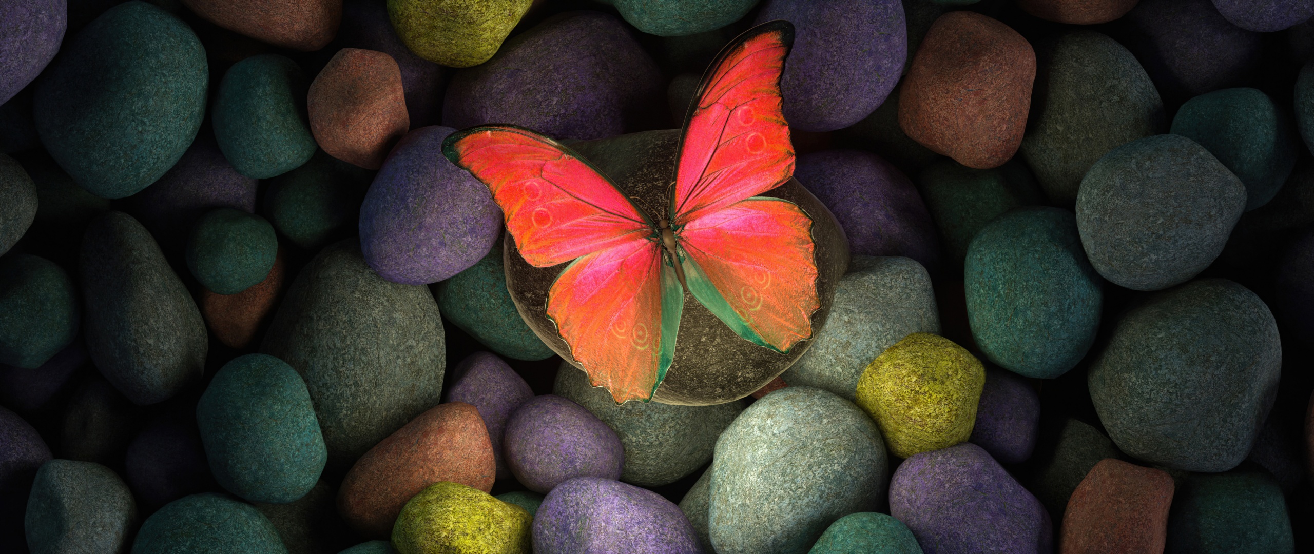 Butterfly Wallpaper 4K, Stones, Colorful, Focus, Photography
