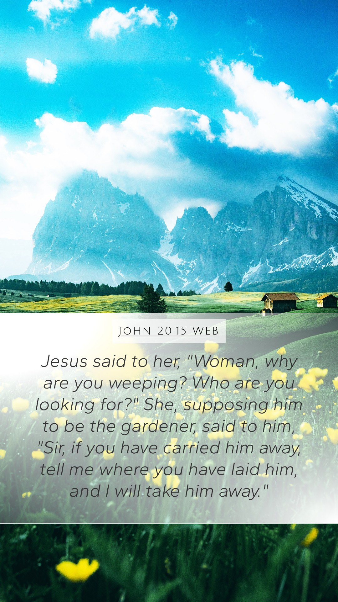 John 20:15 WEB Mobile Phone Wallpaper said to her, Woman, why are you weeping?
