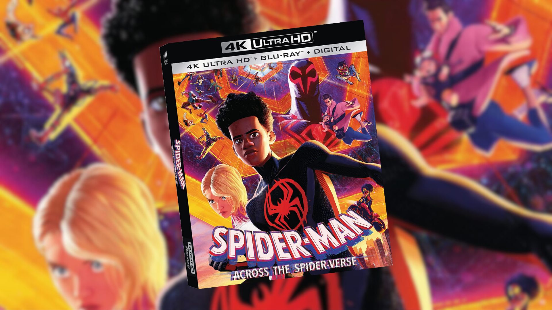 Spider Man: Across The Spider Verse Is Up For Preorder