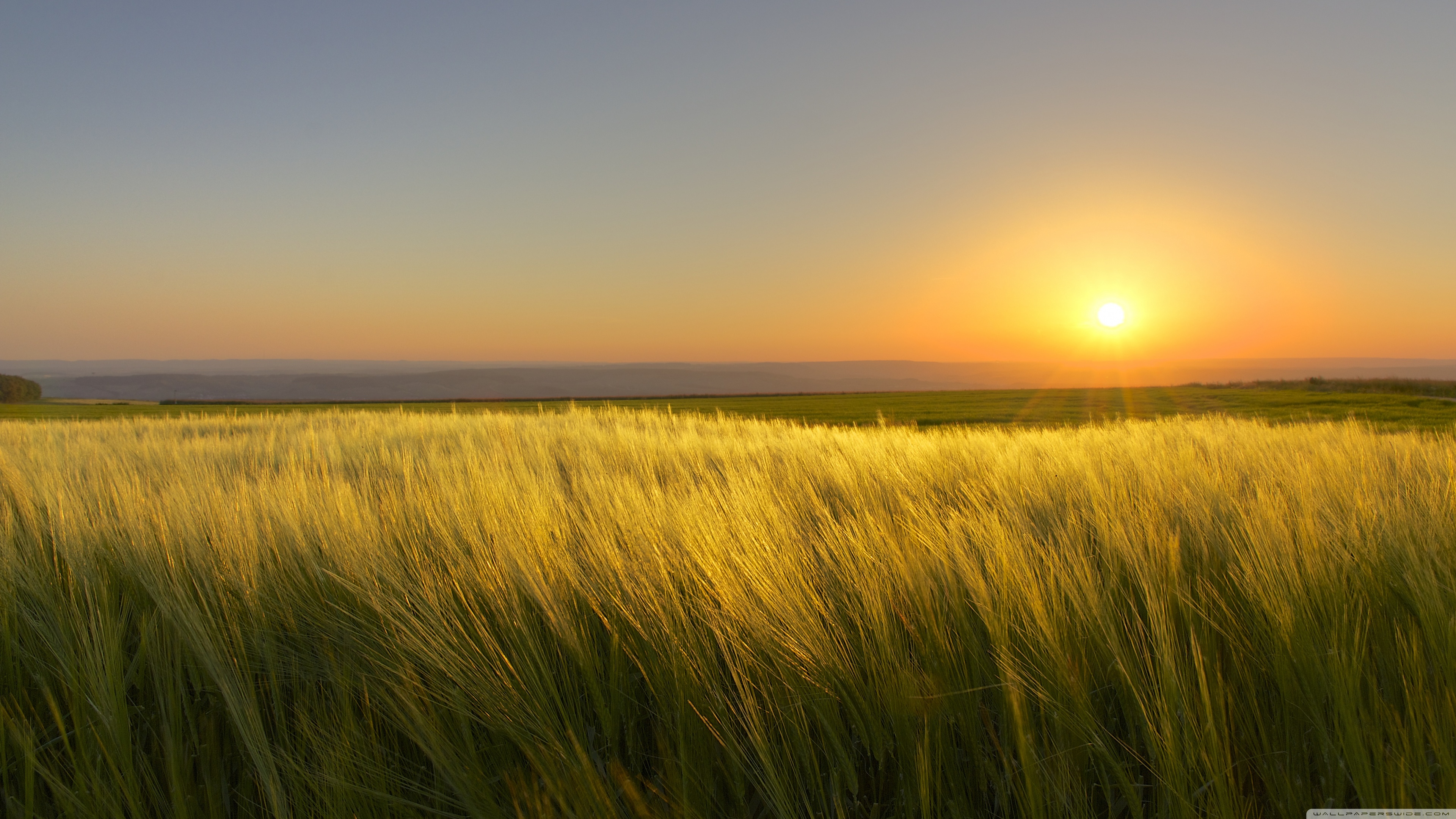 A Sunny Day's End Ultra HD Desktop Background Wallpaper for: Multi Display, Dual Monitor, Tablet