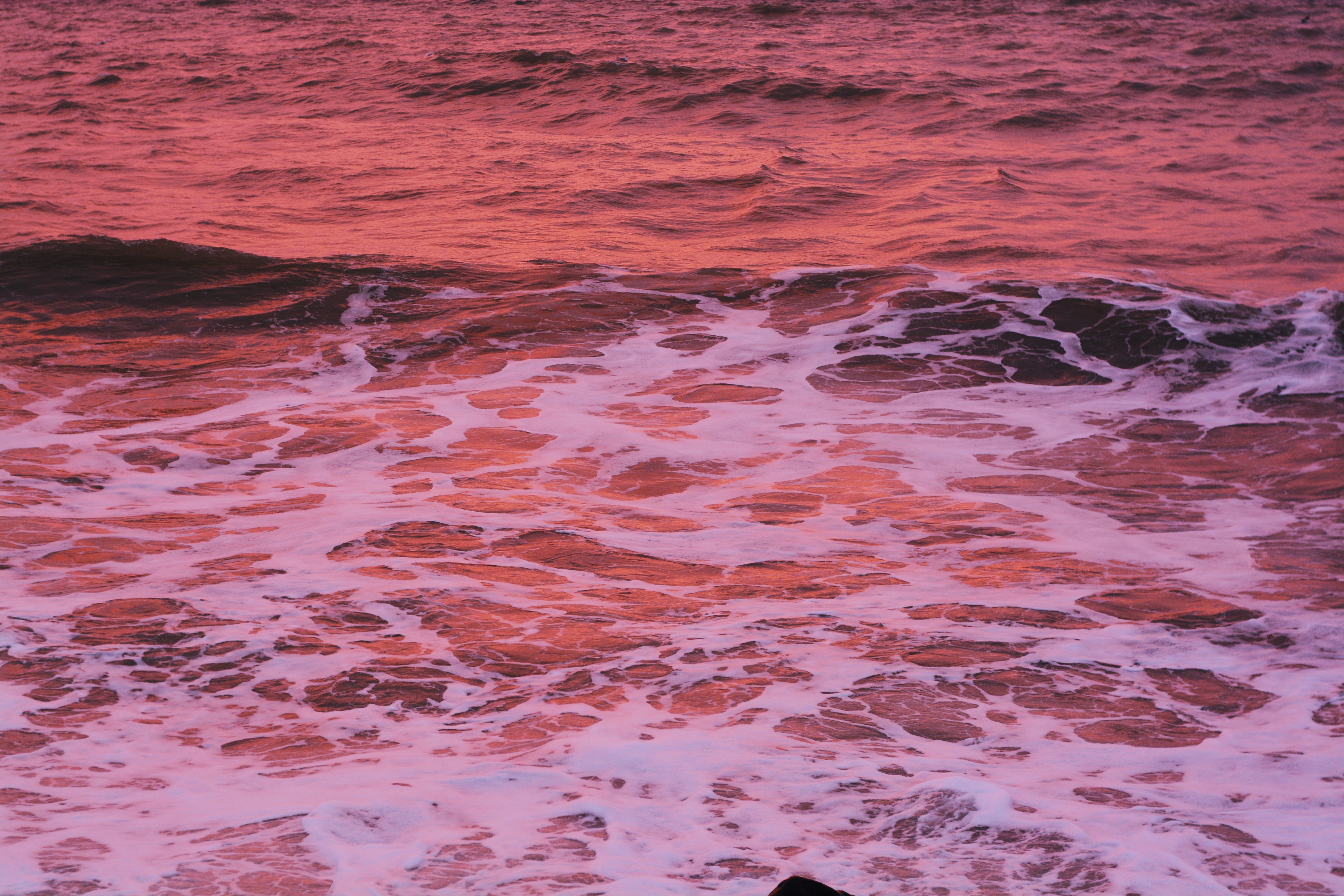Wallpaper / land, full frame, pink color, wave, vsco, day, sea, no people, aquatic sport, beach, outdoors, sport, motion, flowing water, 5K, tranquility, ocean, view free download