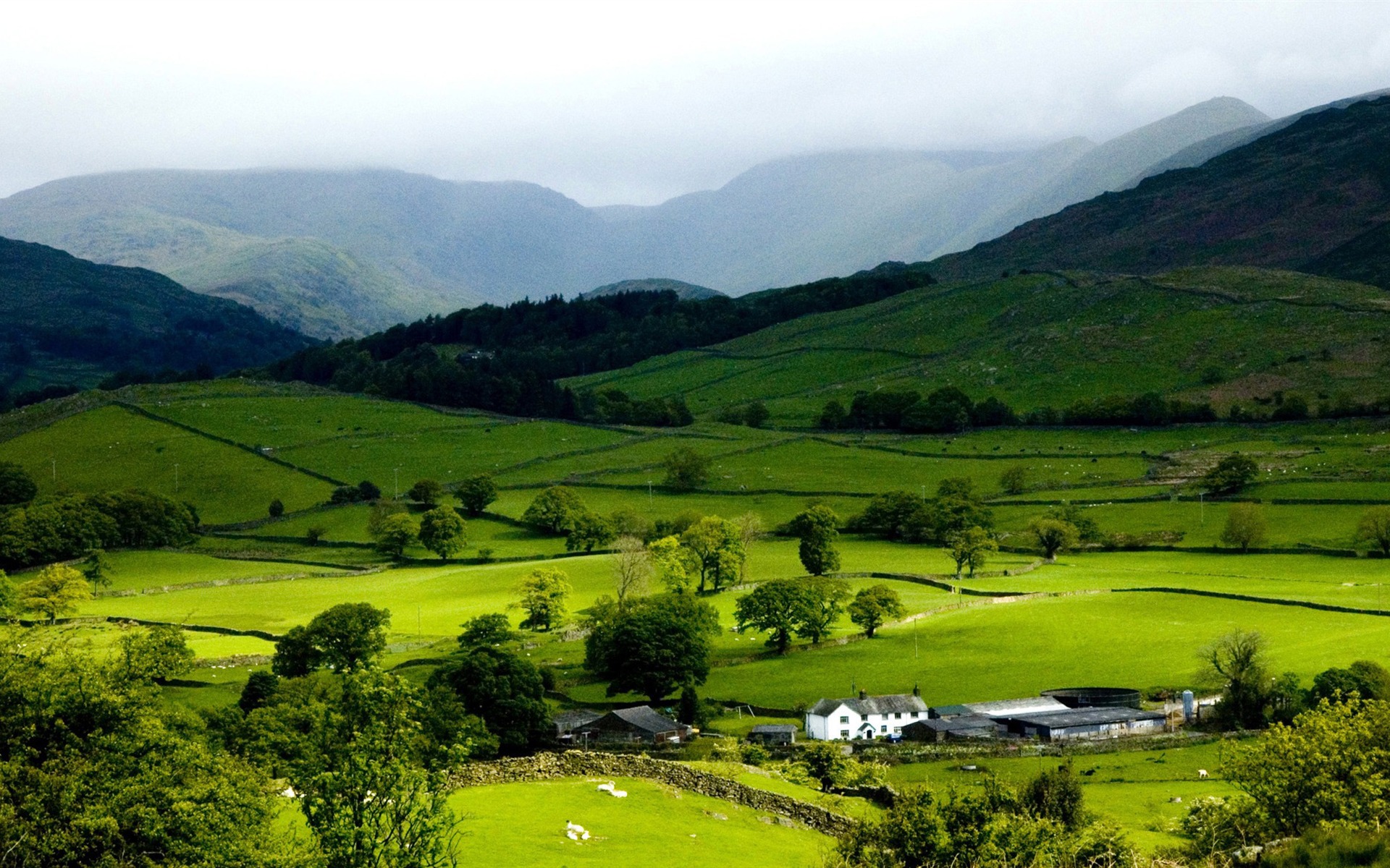 Mountain Spring Beautiful Natural Scenery Desktop Wallpaper