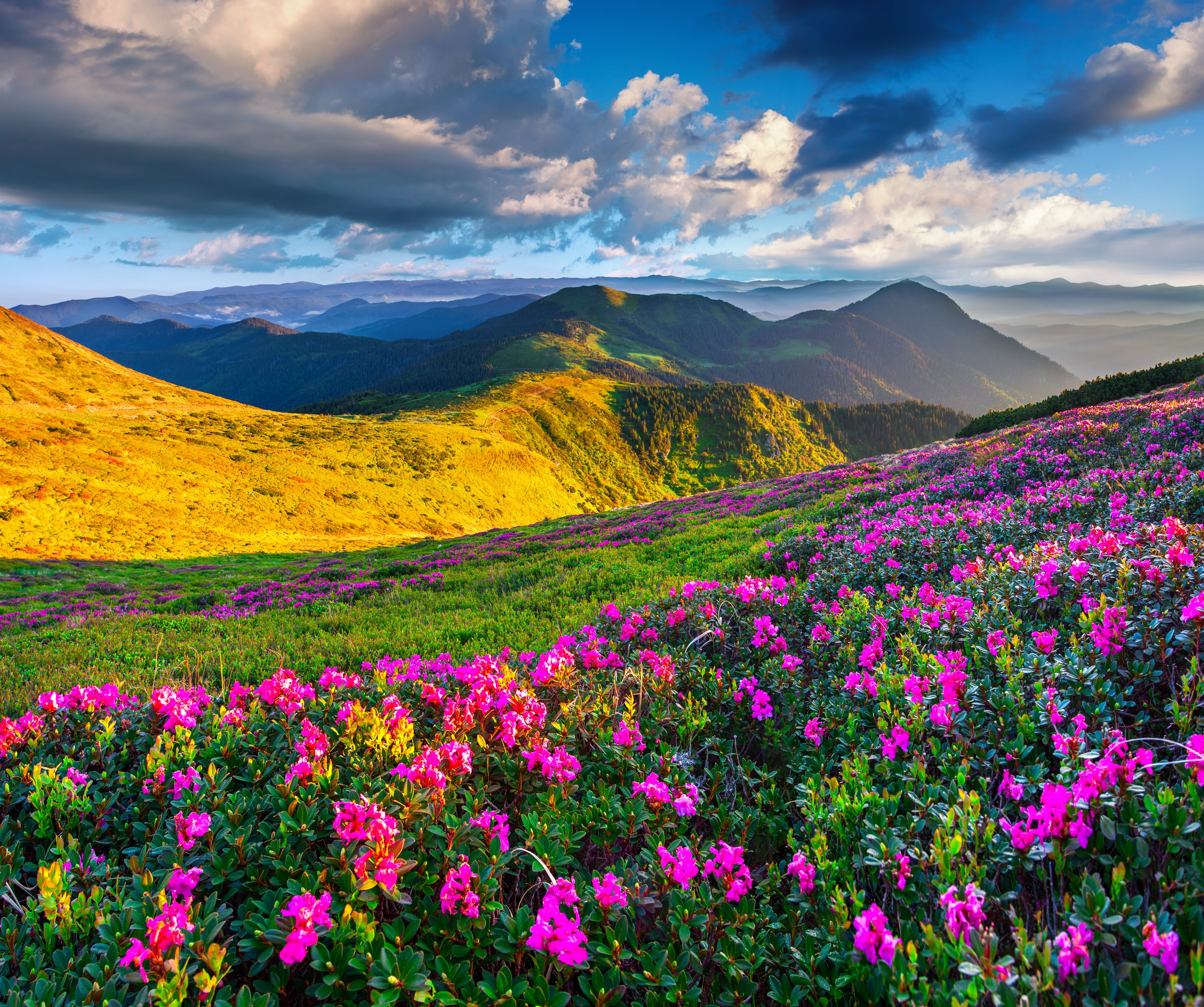Download wallpaper the sky, the sun, flowers, mountains, spring, landscape, nature, meadows, section landscapes in resolution 5500x4600