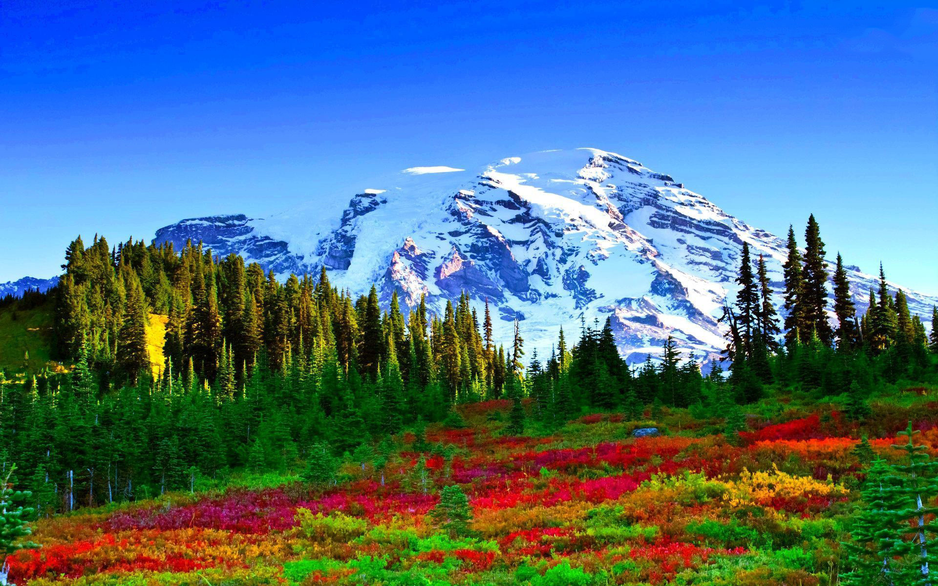 Spring In The Mountains Wallpaper